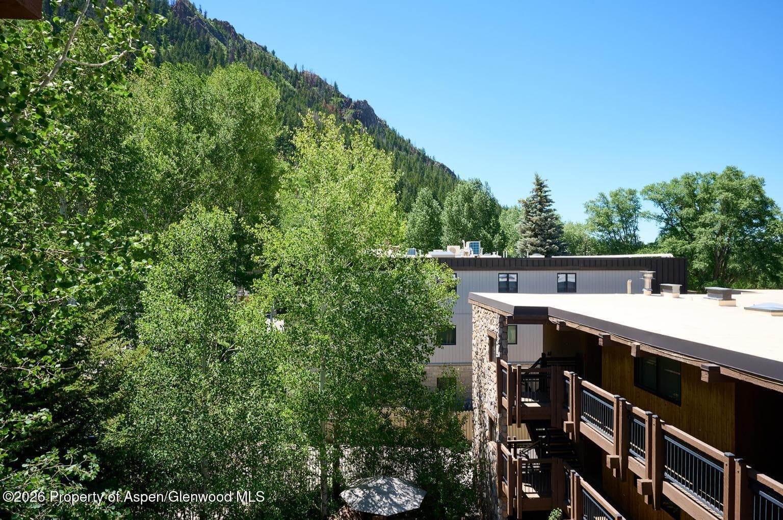 131 E Durant Avenue 410, Aspen, CO 81611 - Photo 15
