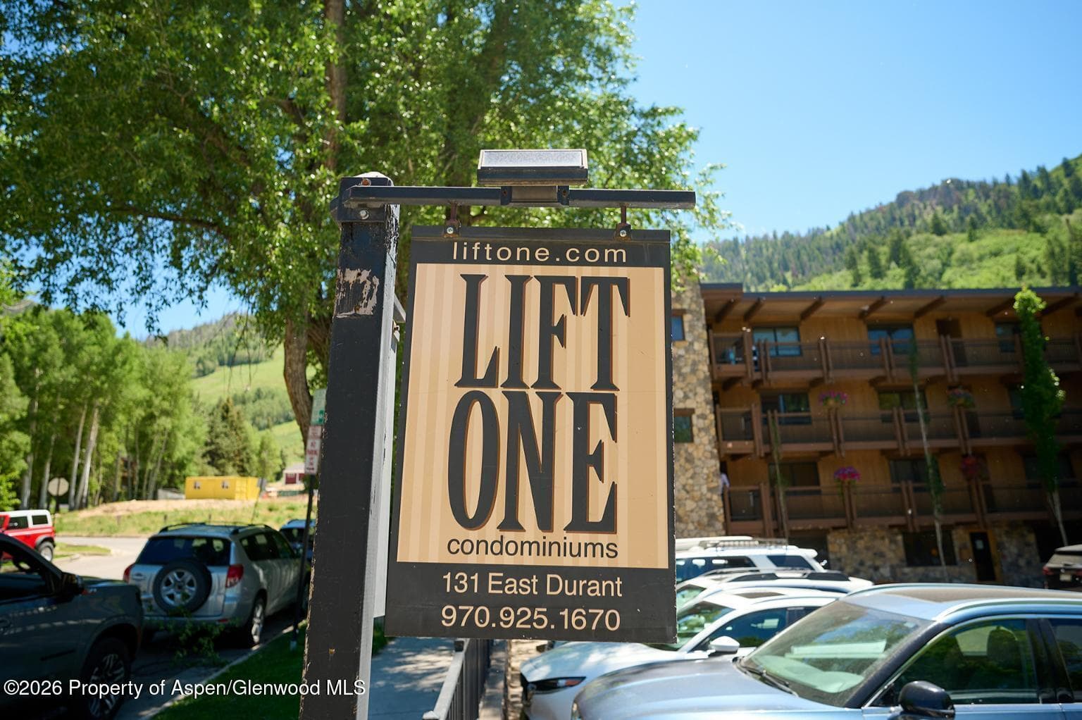 131 E Durant Avenue 410, Aspen, CO 81611 - Photo 16
