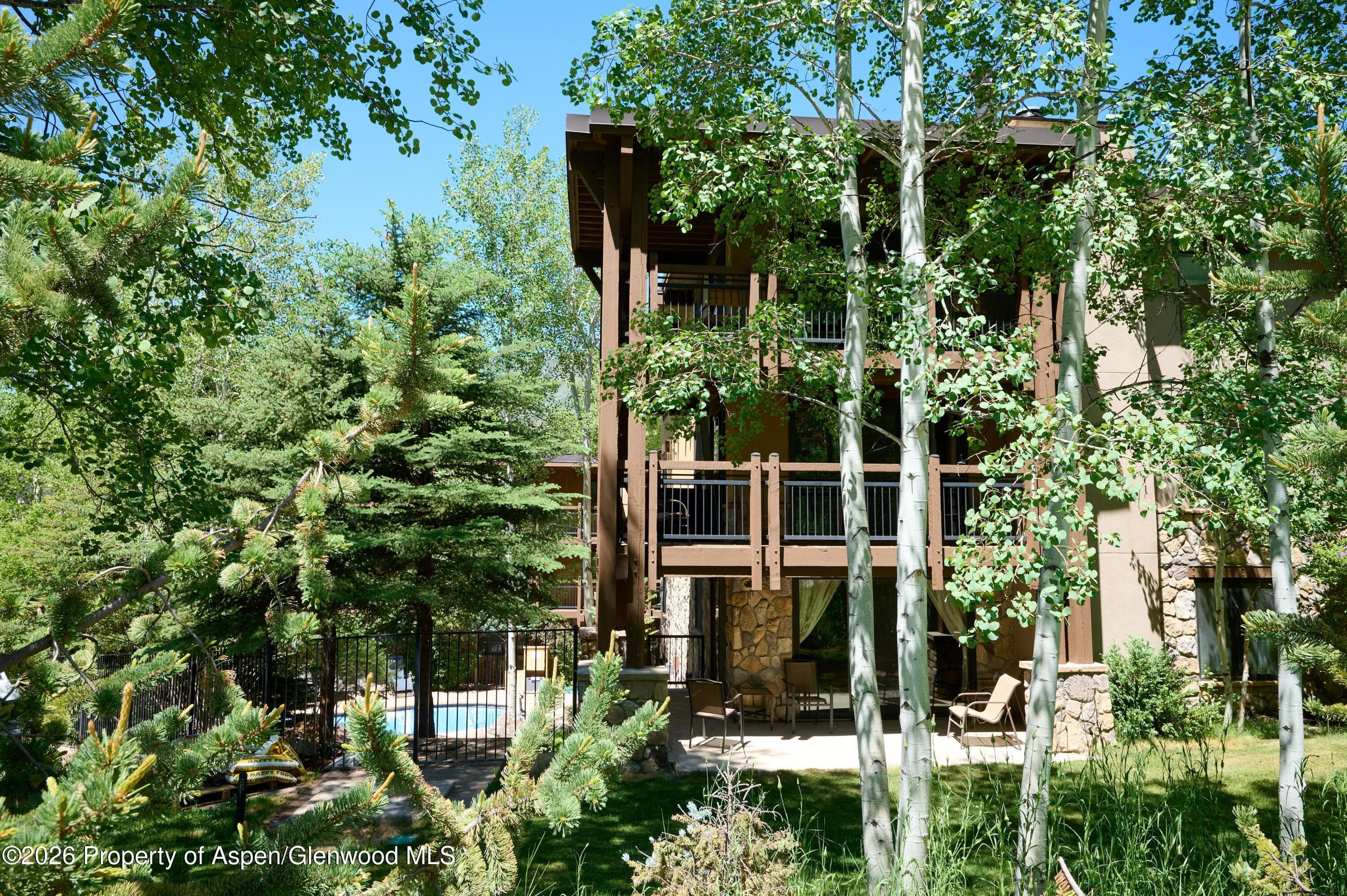 131 E Durant Avenue 410, Aspen, CO 81611 - Photo 18