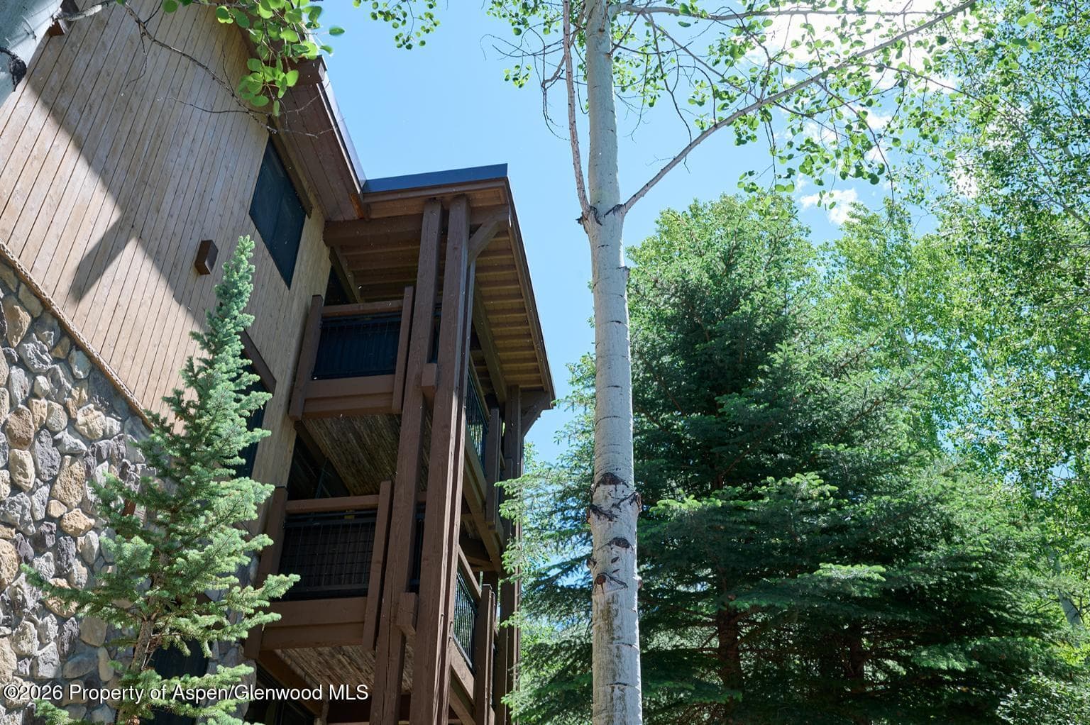 131 E Durant Avenue 410, Aspen, CO 81611 - Photo 19