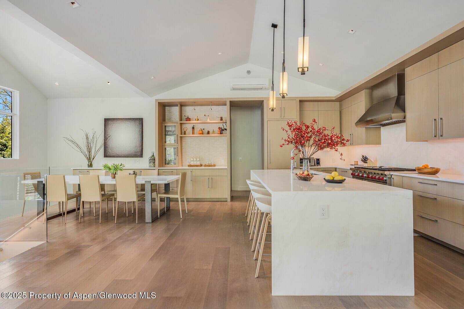 100 Park Avenue, Aspen, CO 81611 - Photo 7