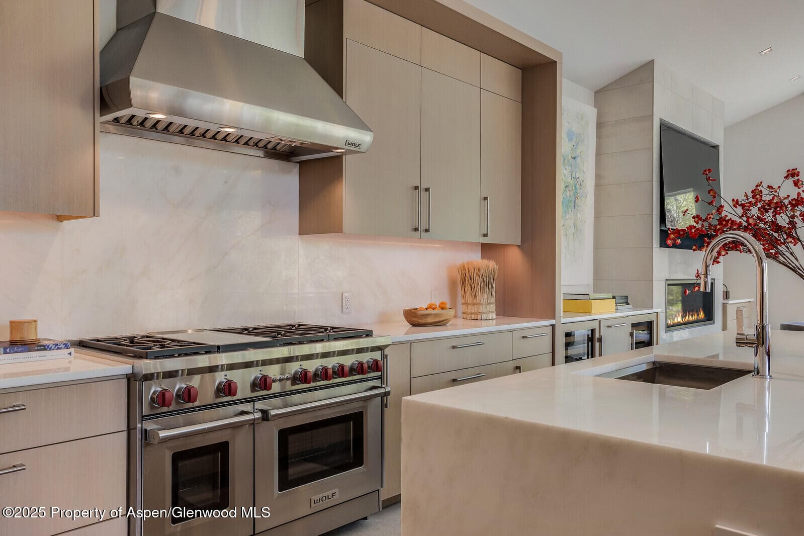 100 Park Avenue, Aspen, CO 81611 - Photo 9