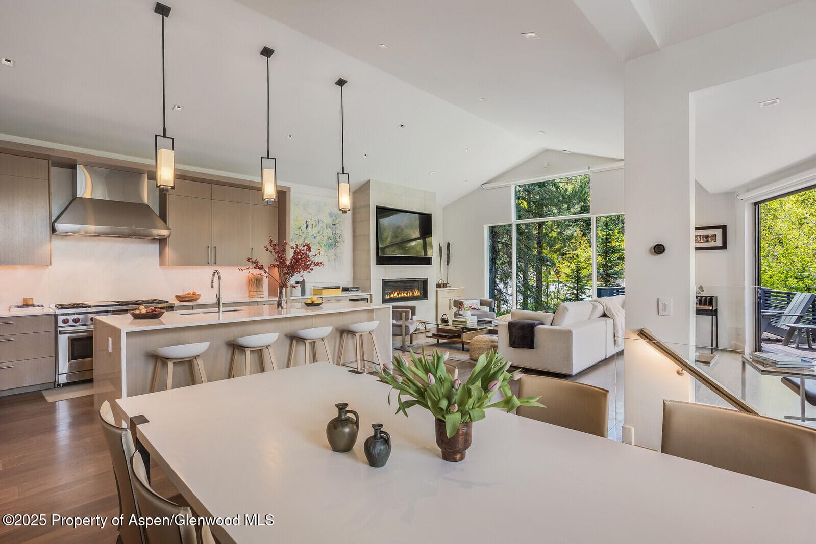 100 Park Avenue, Aspen, CO 81611 - Photo 10