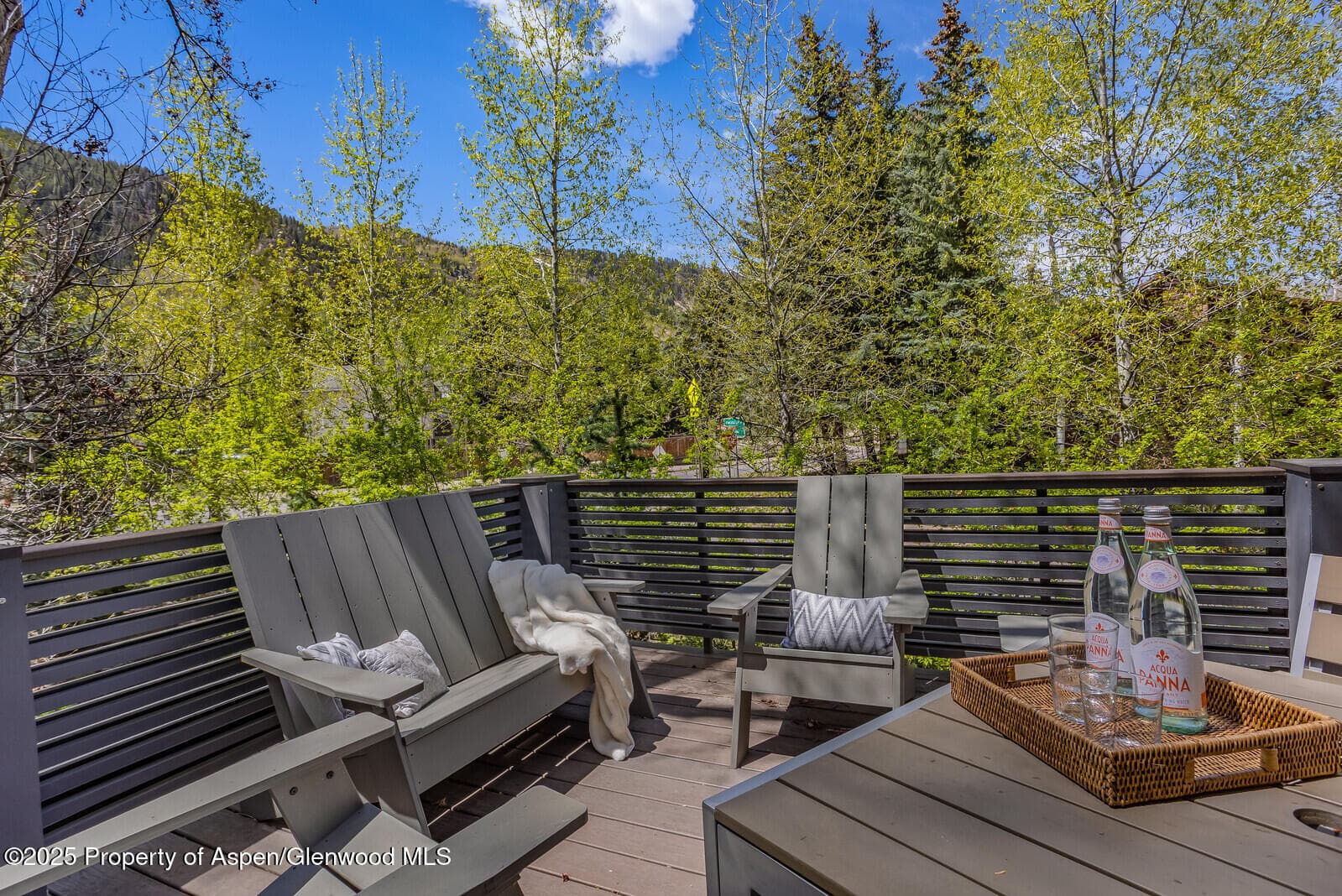 100 Park Avenue, Aspen, CO 81611 - Photo 12