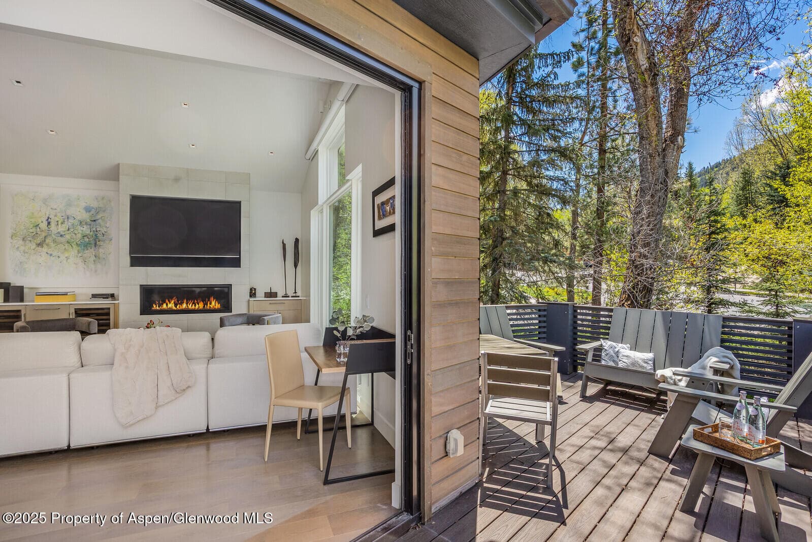 100 Park Avenue, Aspen, CO 81611 - Photo 13