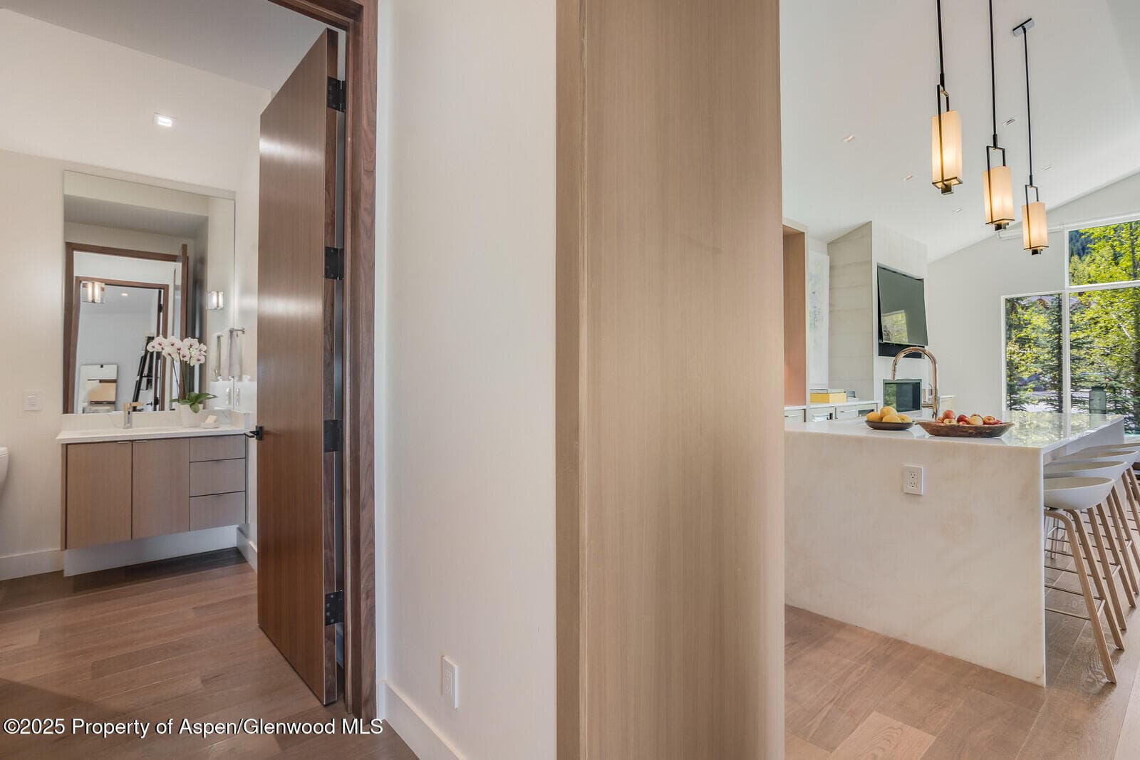 100 Park Avenue, Aspen, CO 81611 - Photo 20