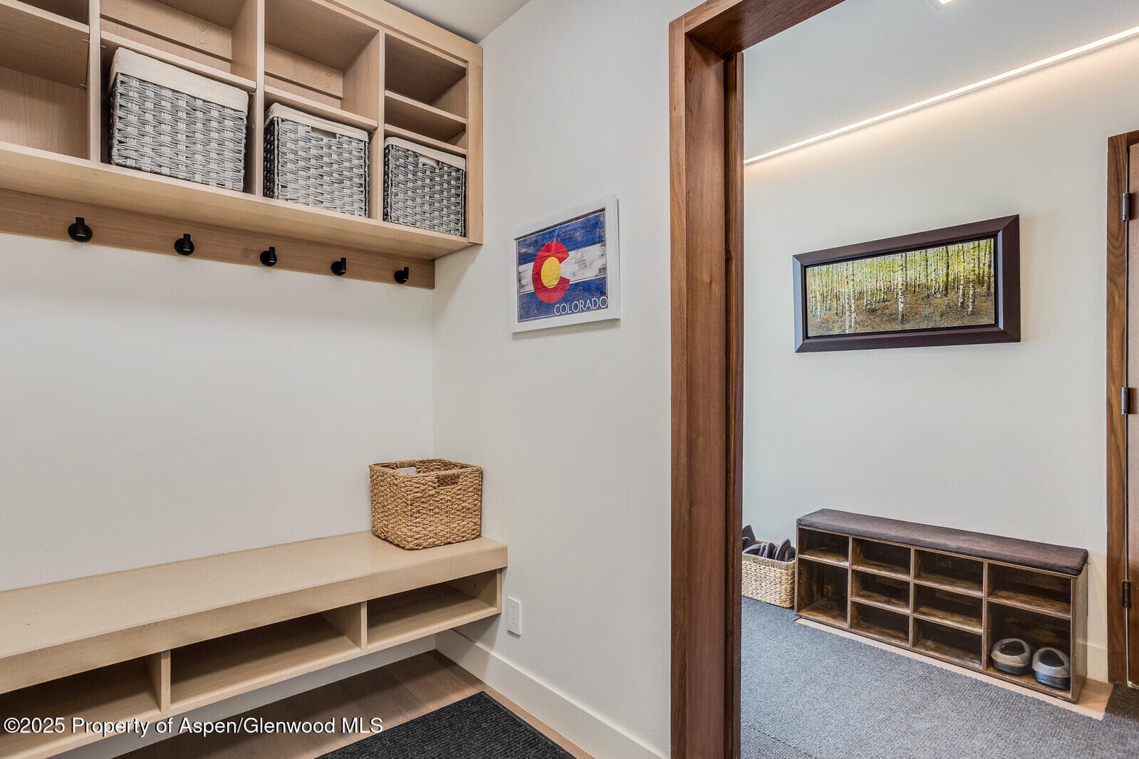 100 Park Avenue, Aspen, CO 81611 - Photo 31