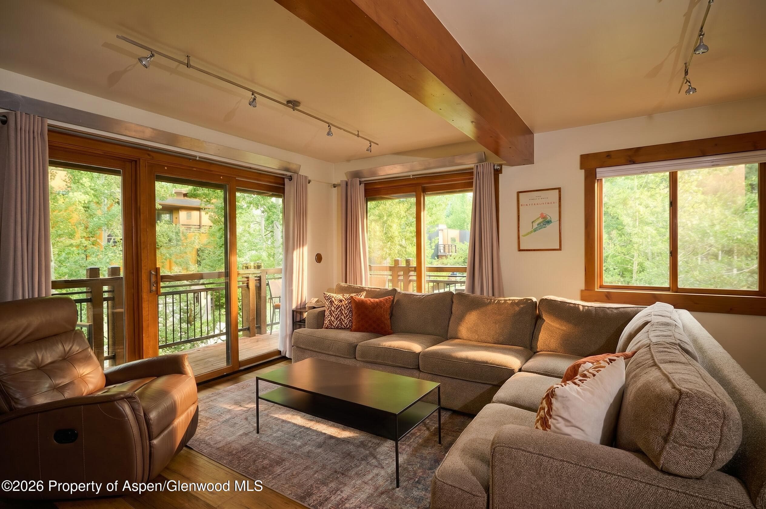 131 E Durant Avenue 410, Aspen, CO 81611 - Photo 2