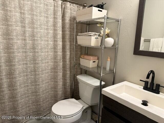 101 Emma Road #45, Basalt, CO 81621 - Photo 16