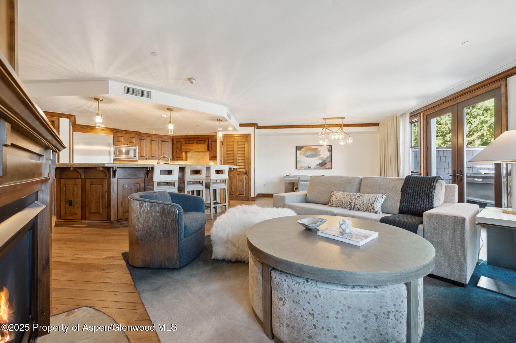 415 E Dean St, Unit 50, Week 8, Aspen, CO 81611 - Photo 10