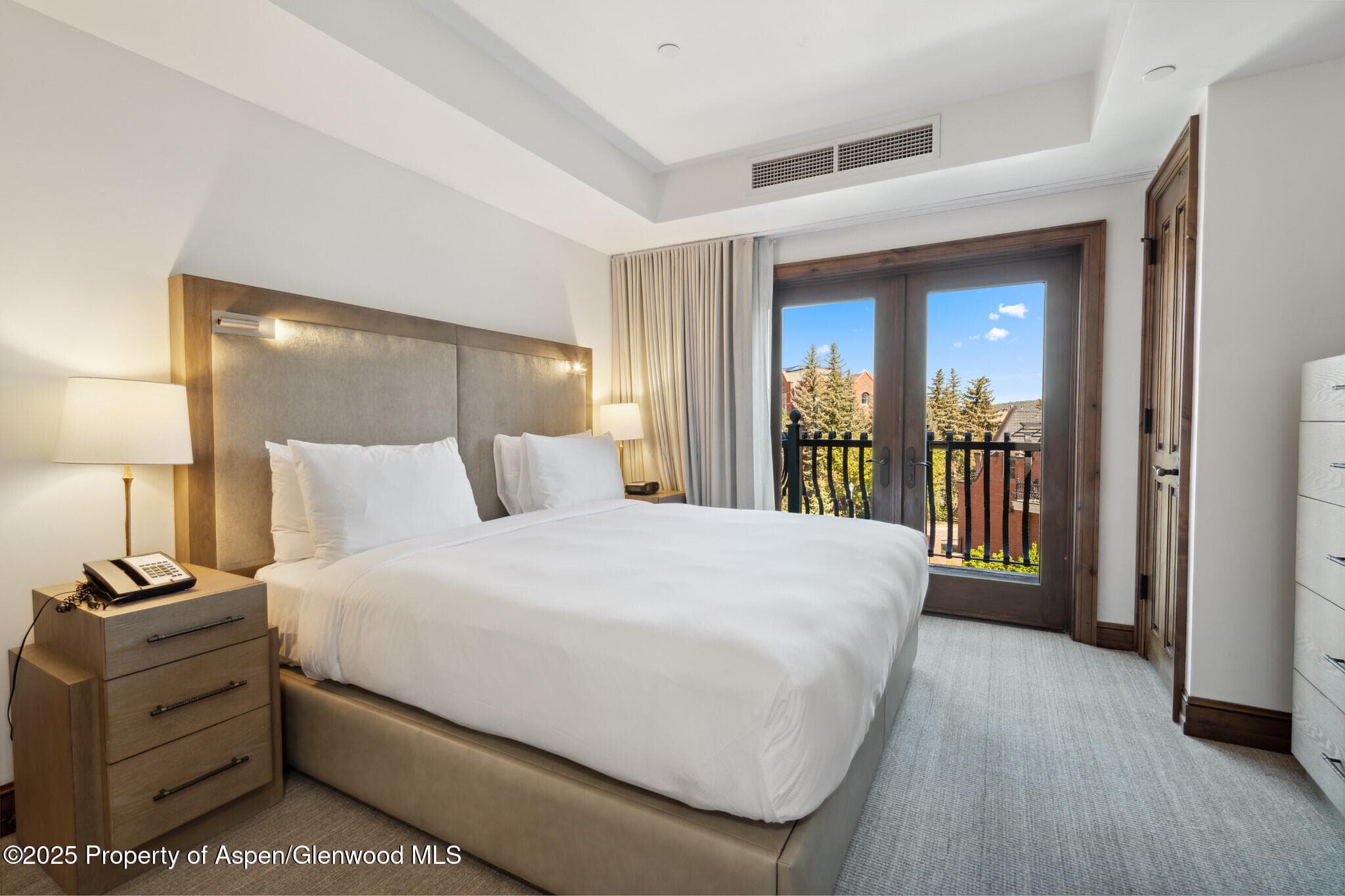 415 E Dean St, Unit 50, Week 8, Aspen, CO 81611 - Photo 12