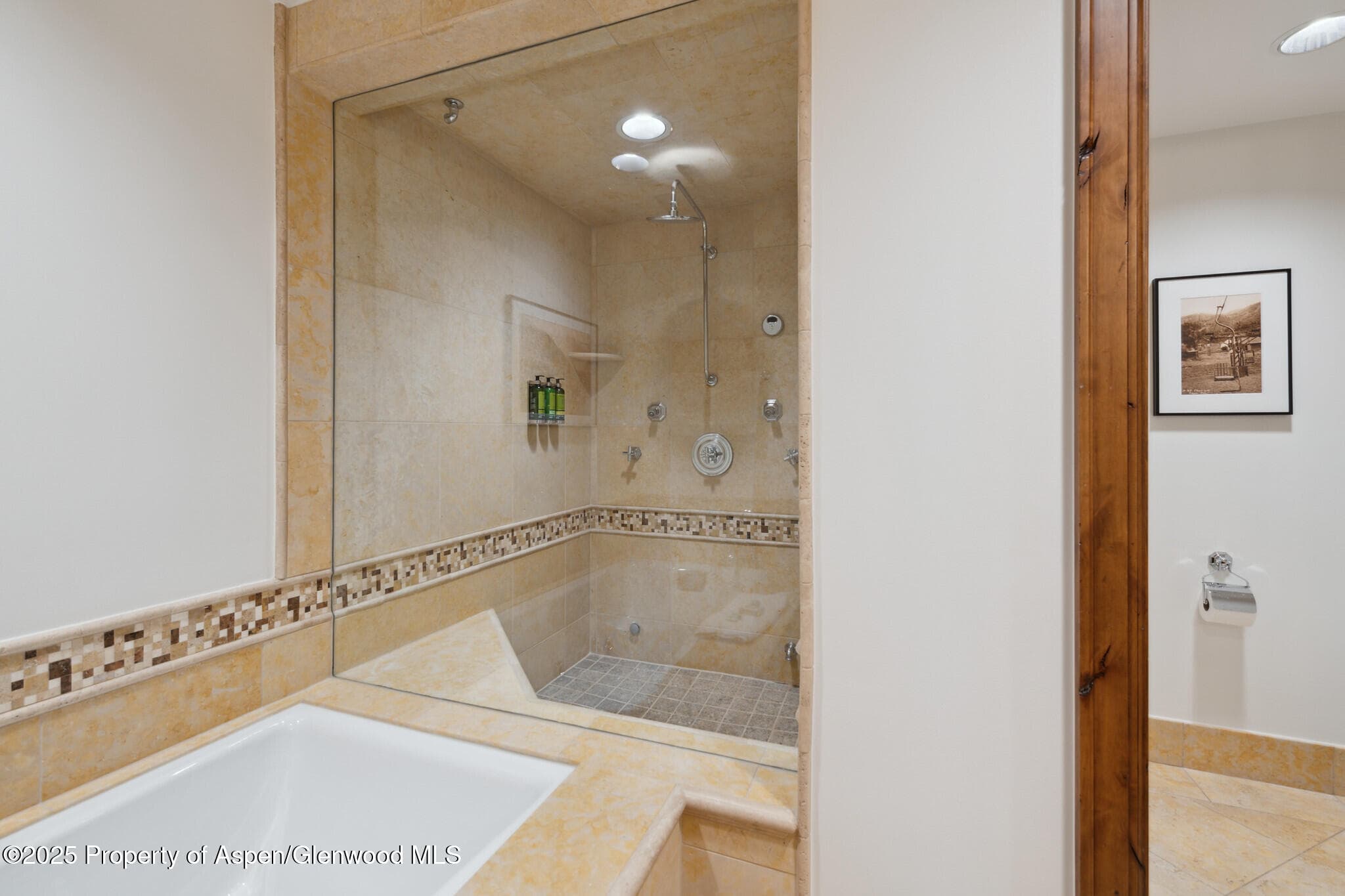 415 E Dean St, Unit 50, Week 8, Aspen, CO 81611 - Photo 16