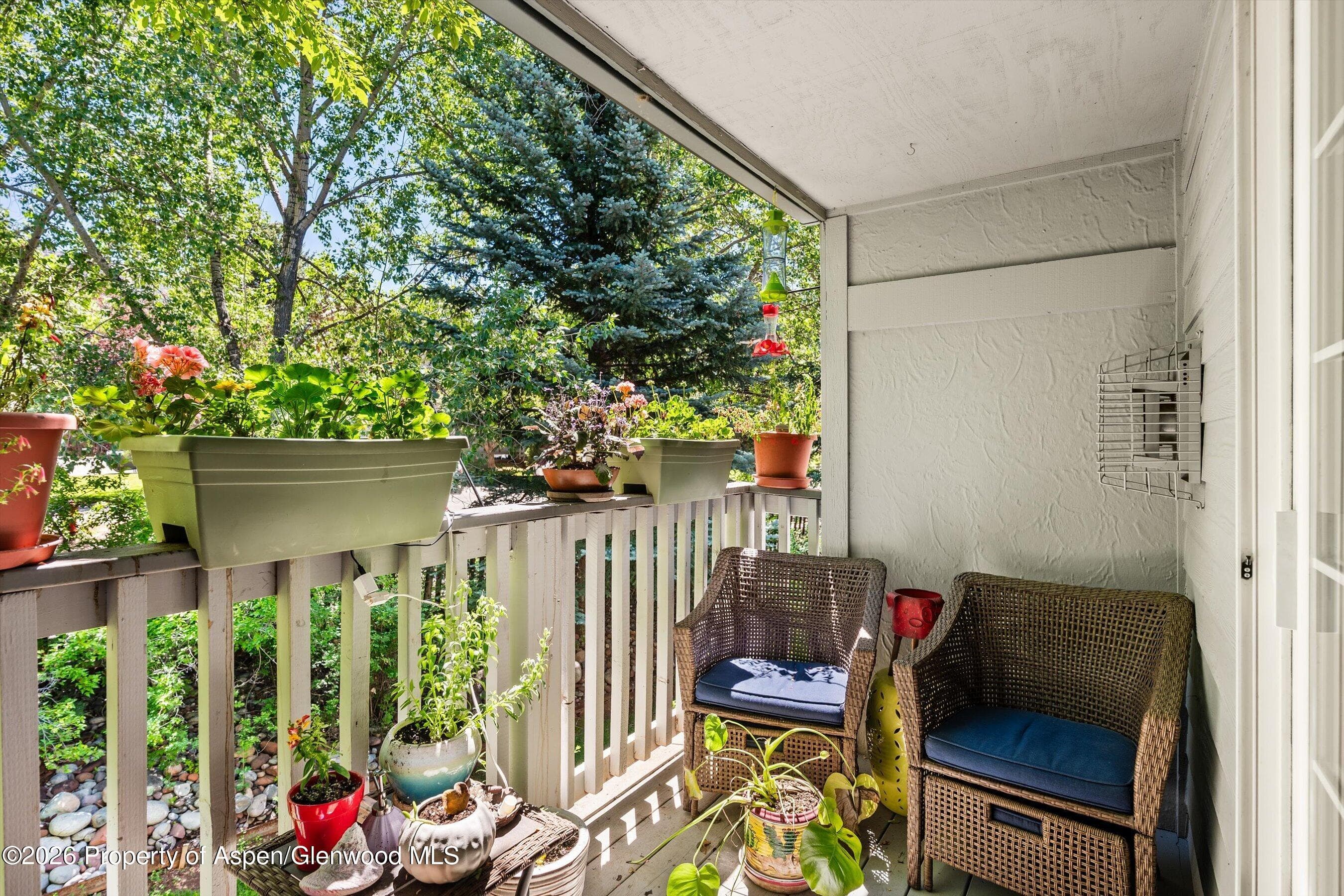 5203 Elk Lane, Basalt, CO 81621 - Photo 17