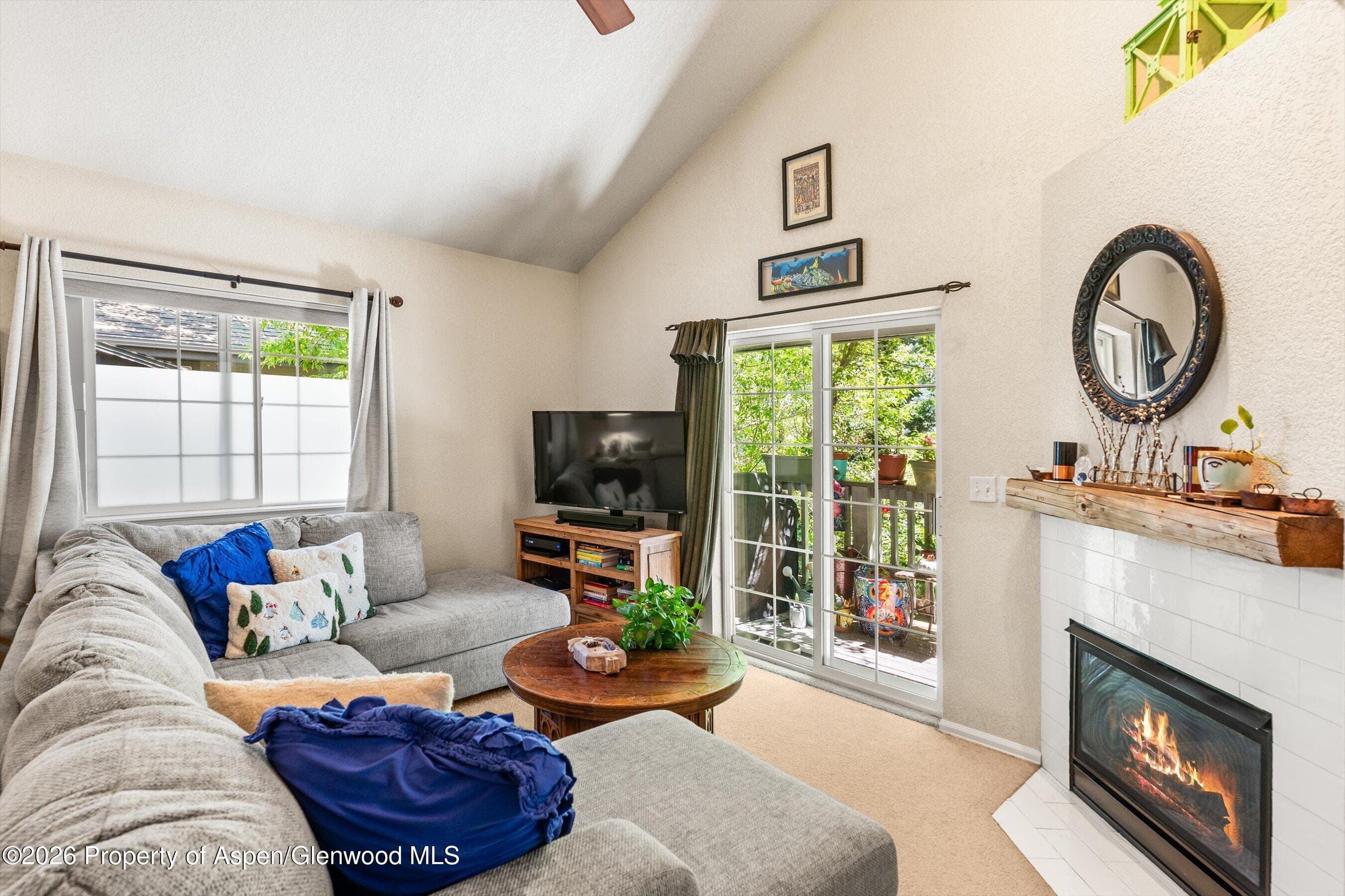 5203 Elk Lane, Basalt, CO 81621 - Photo 2