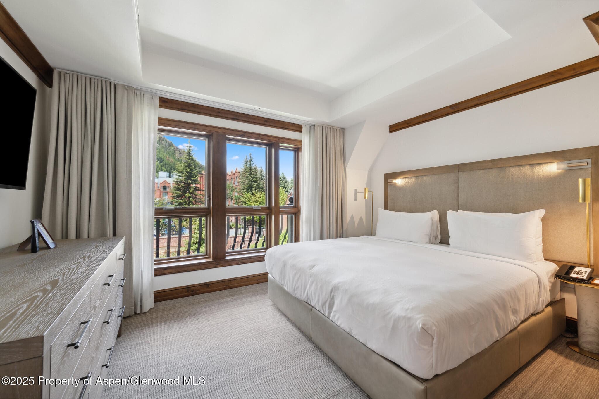 415 E Dean St, Unit 36, Week 33, Aspen, CO 81611 - Photo 12