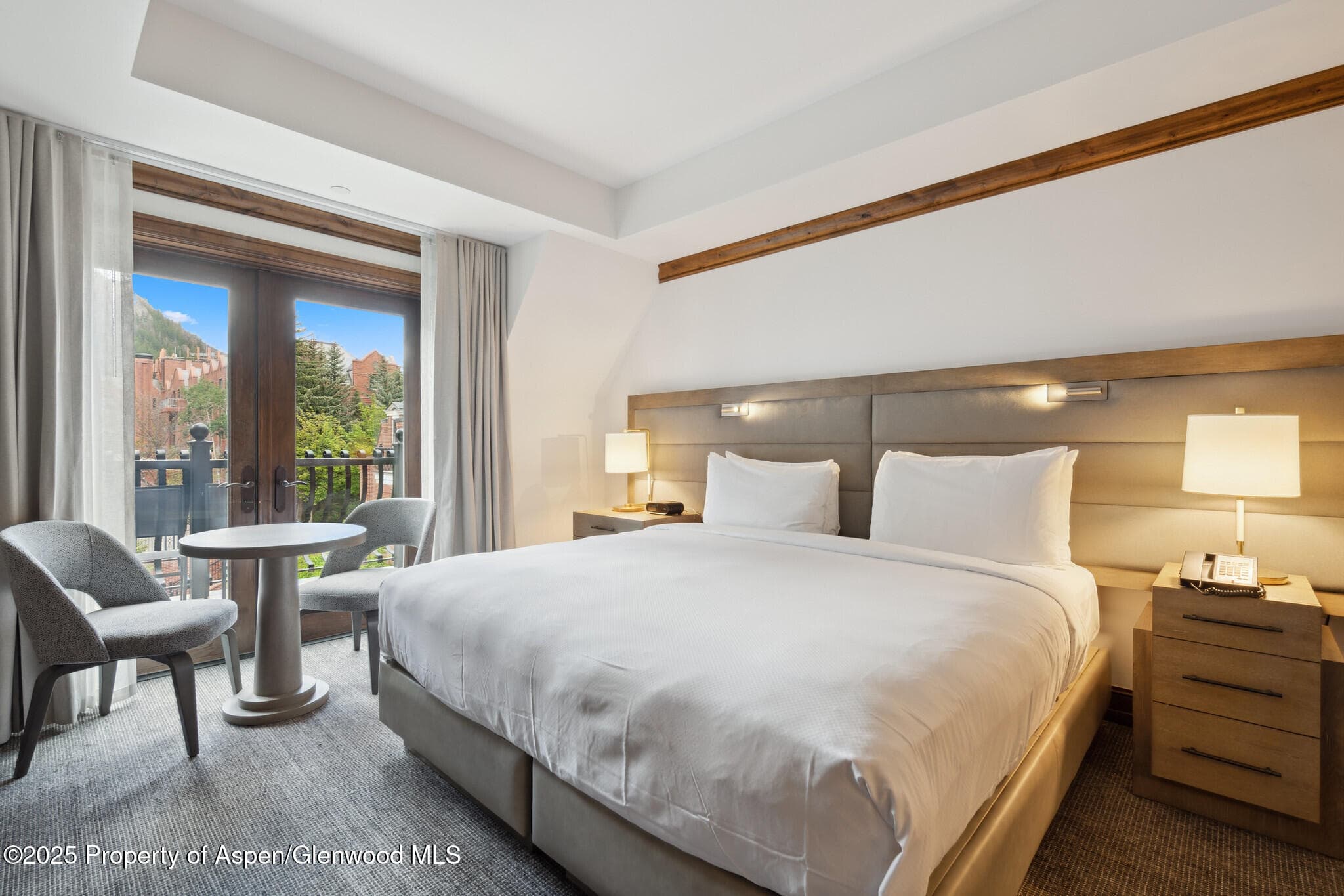 415 E Dean St, Unit 36, Week 33, Aspen, CO 81611 - Photo 17