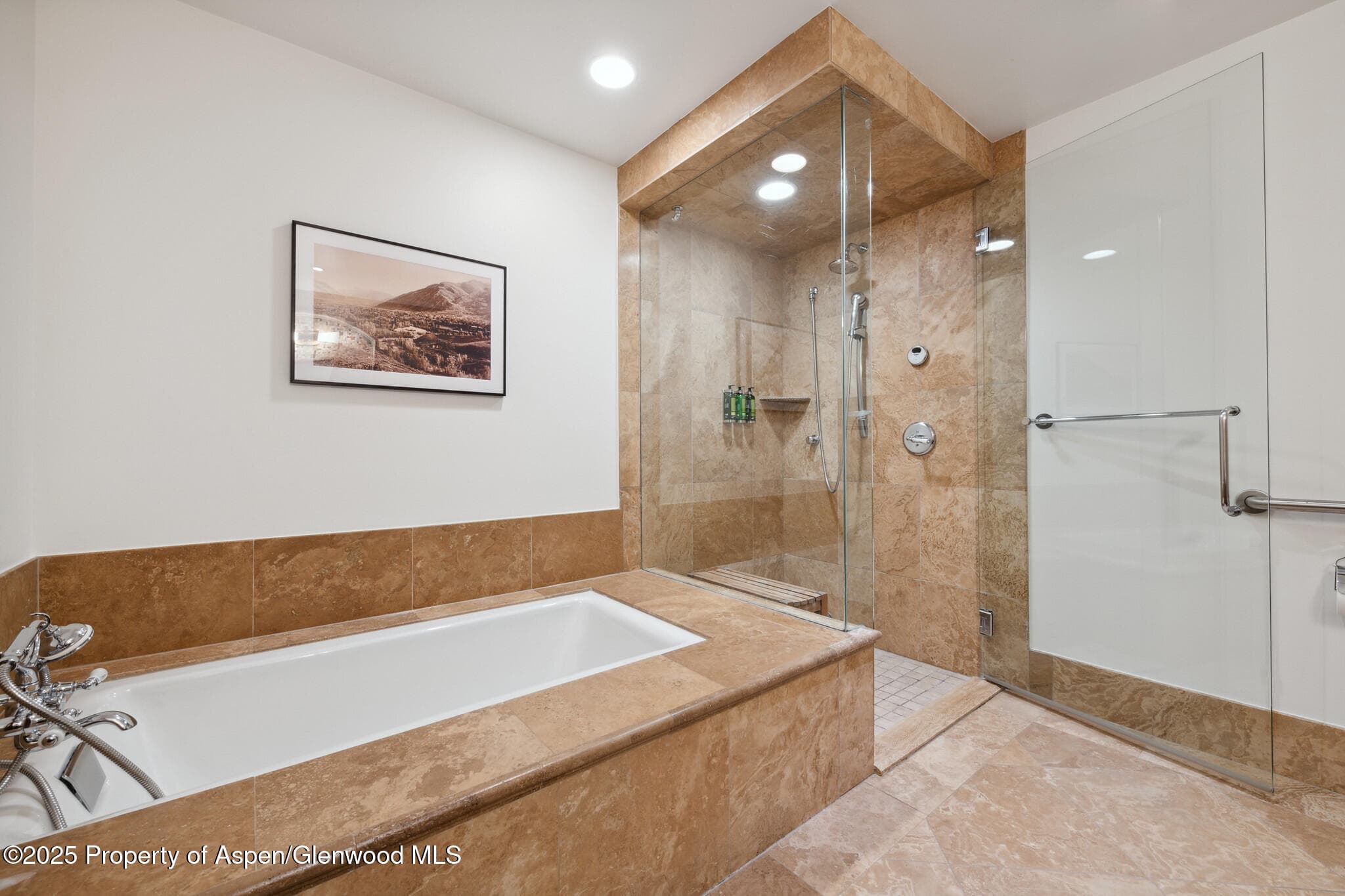 415 E Dean St, Unit 36, Week 33, Aspen, CO 81611 - Photo 23