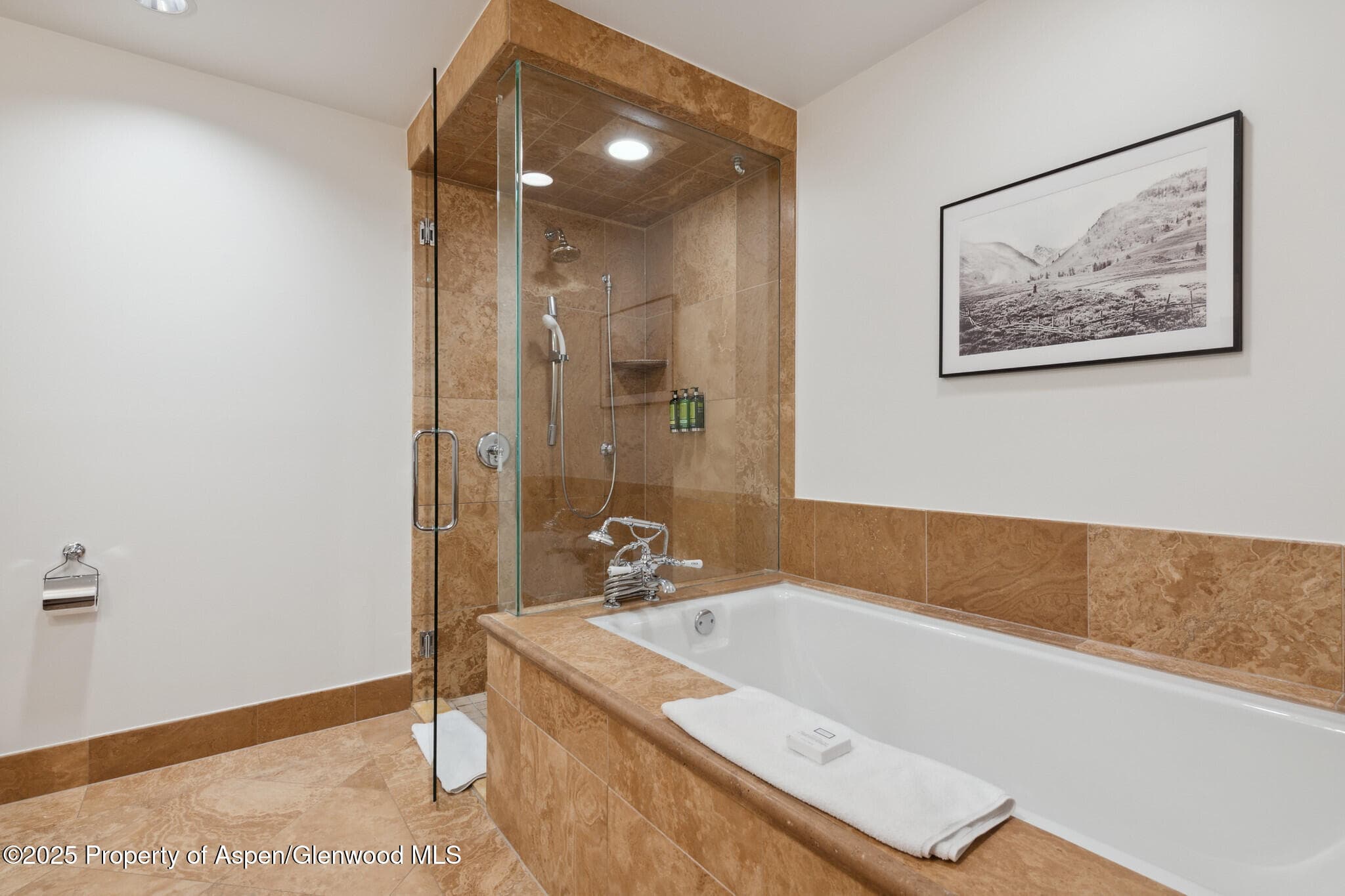 415 E Dean St, Unit 36, Week 33, Aspen, CO 81611 - Photo 28