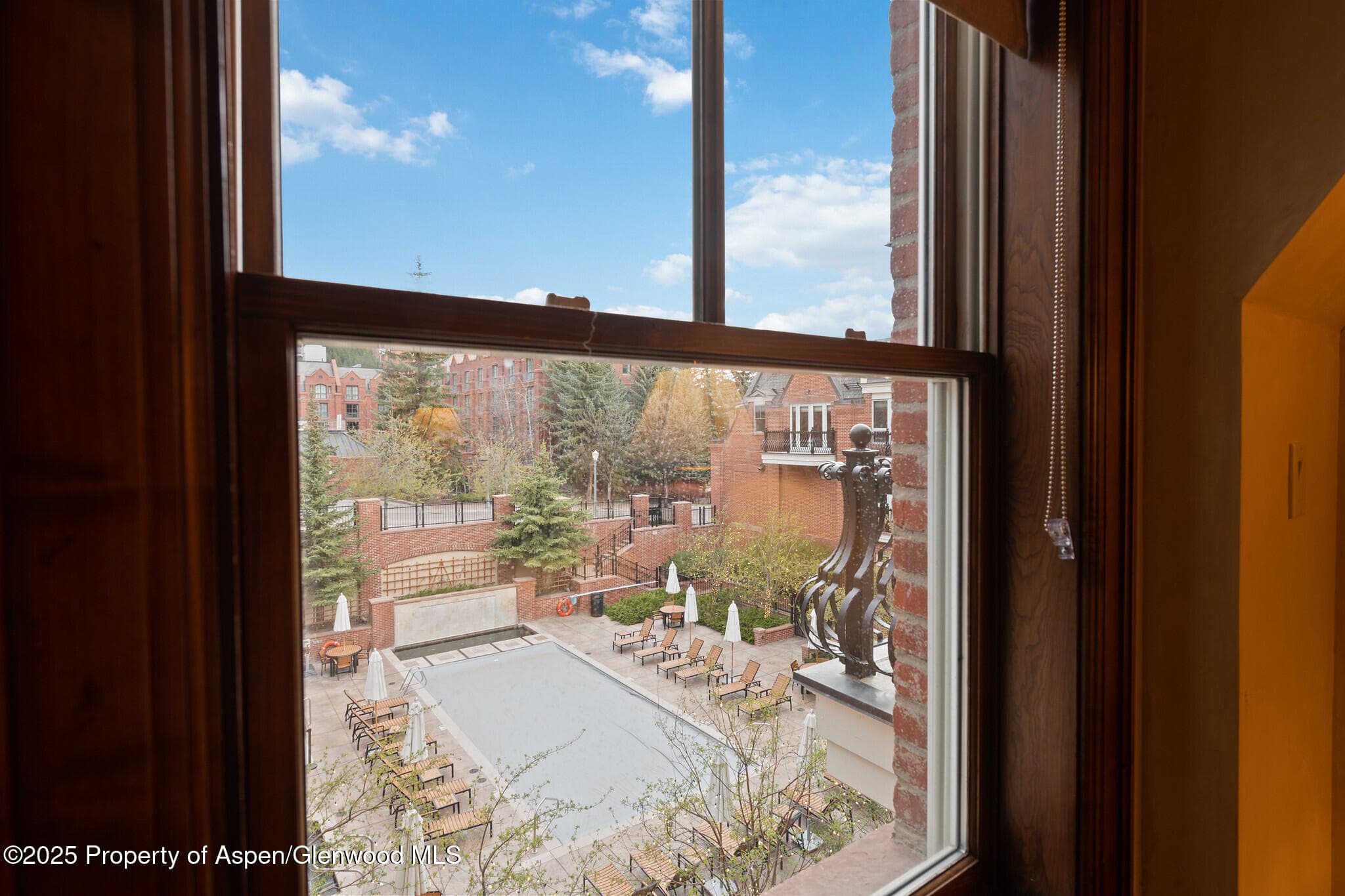415 E Dean St, Unit 36, Week 33, Aspen, CO 81611 - Photo 29