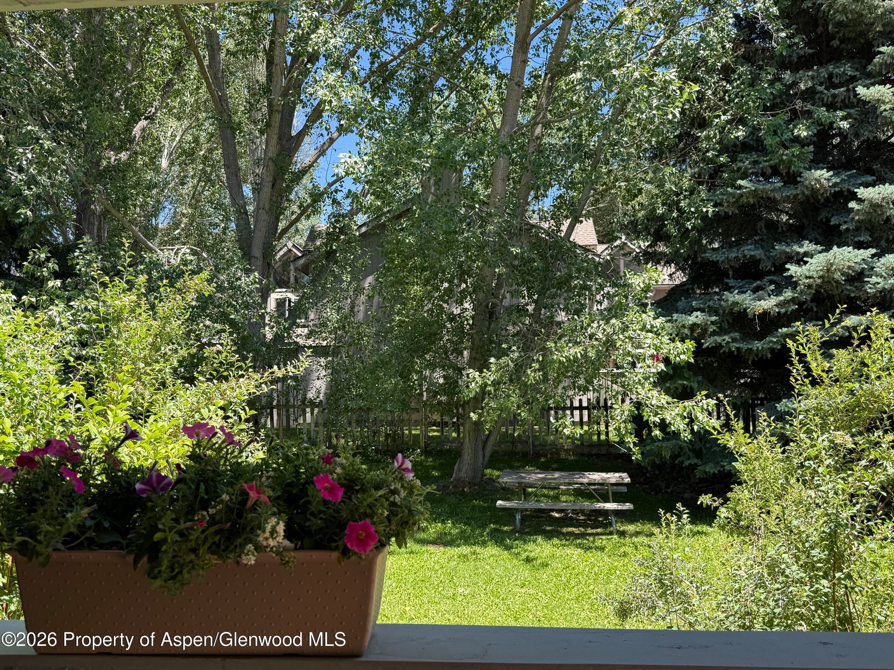 3102 Elk Lane, Basalt, CO 81621 - Photo 12