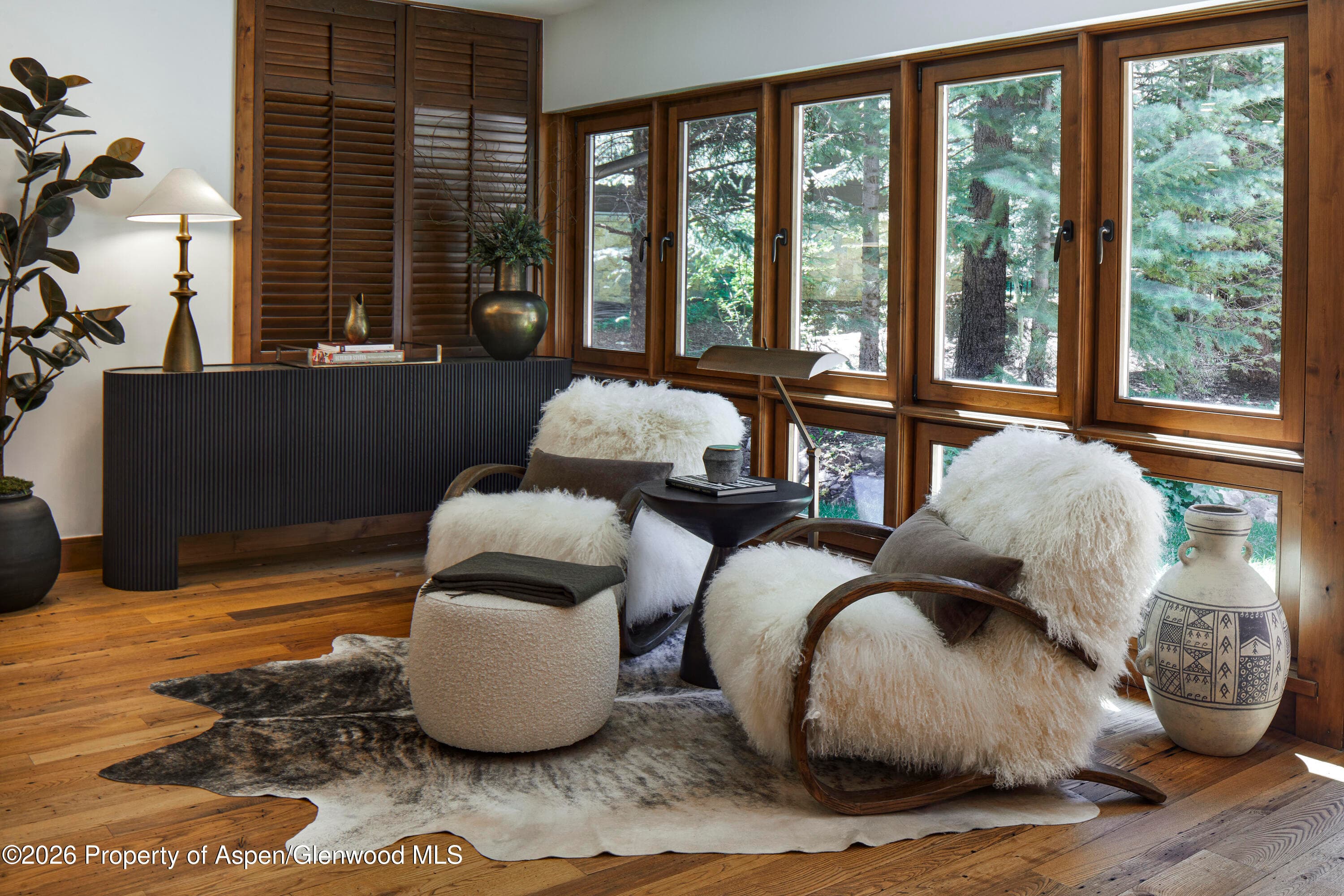 970 Powder Lane, Aspen, CO 81611 - Photo 10