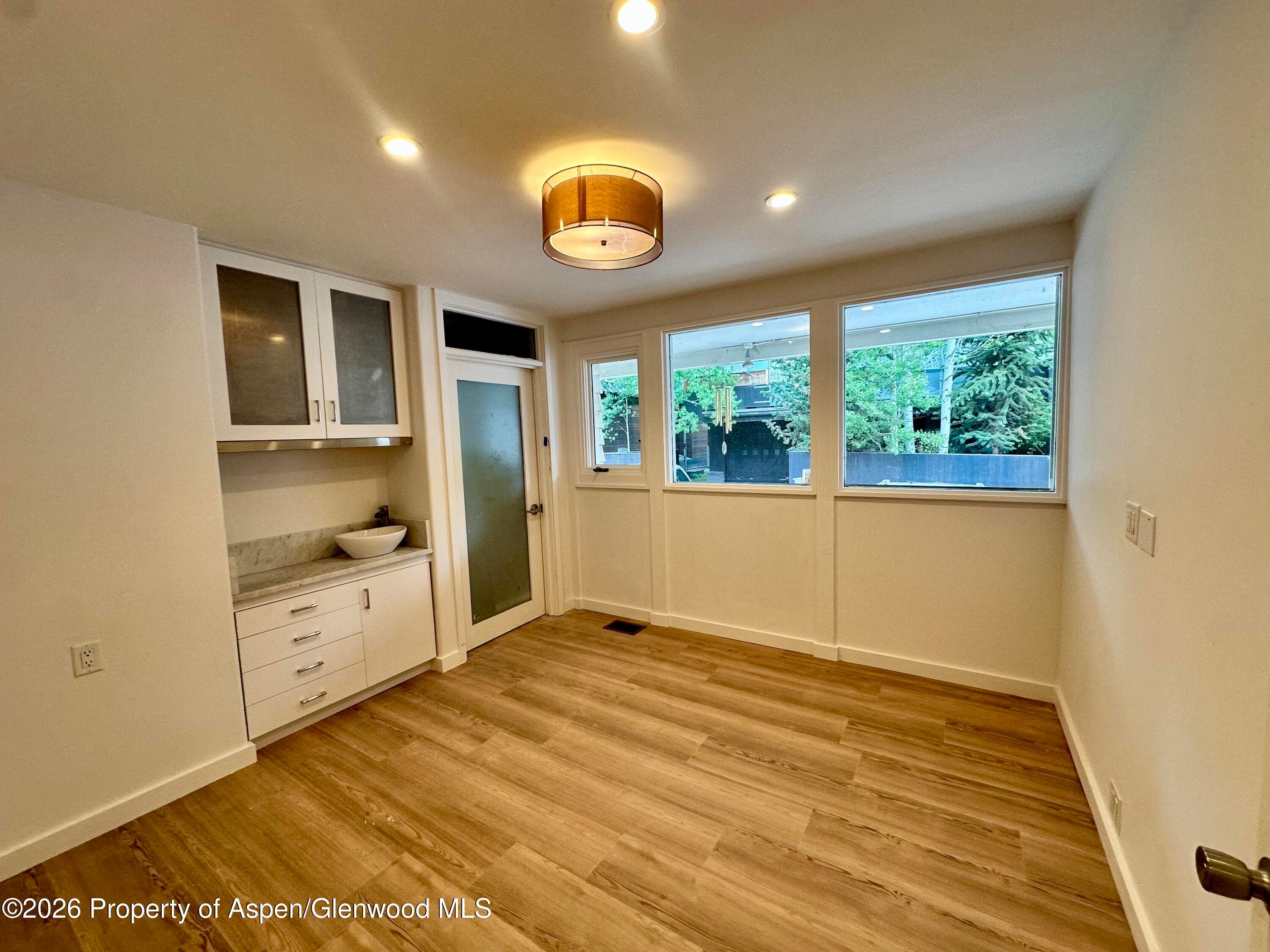 420 W Main Street 101, Aspen, CO 81611 - Photo 5