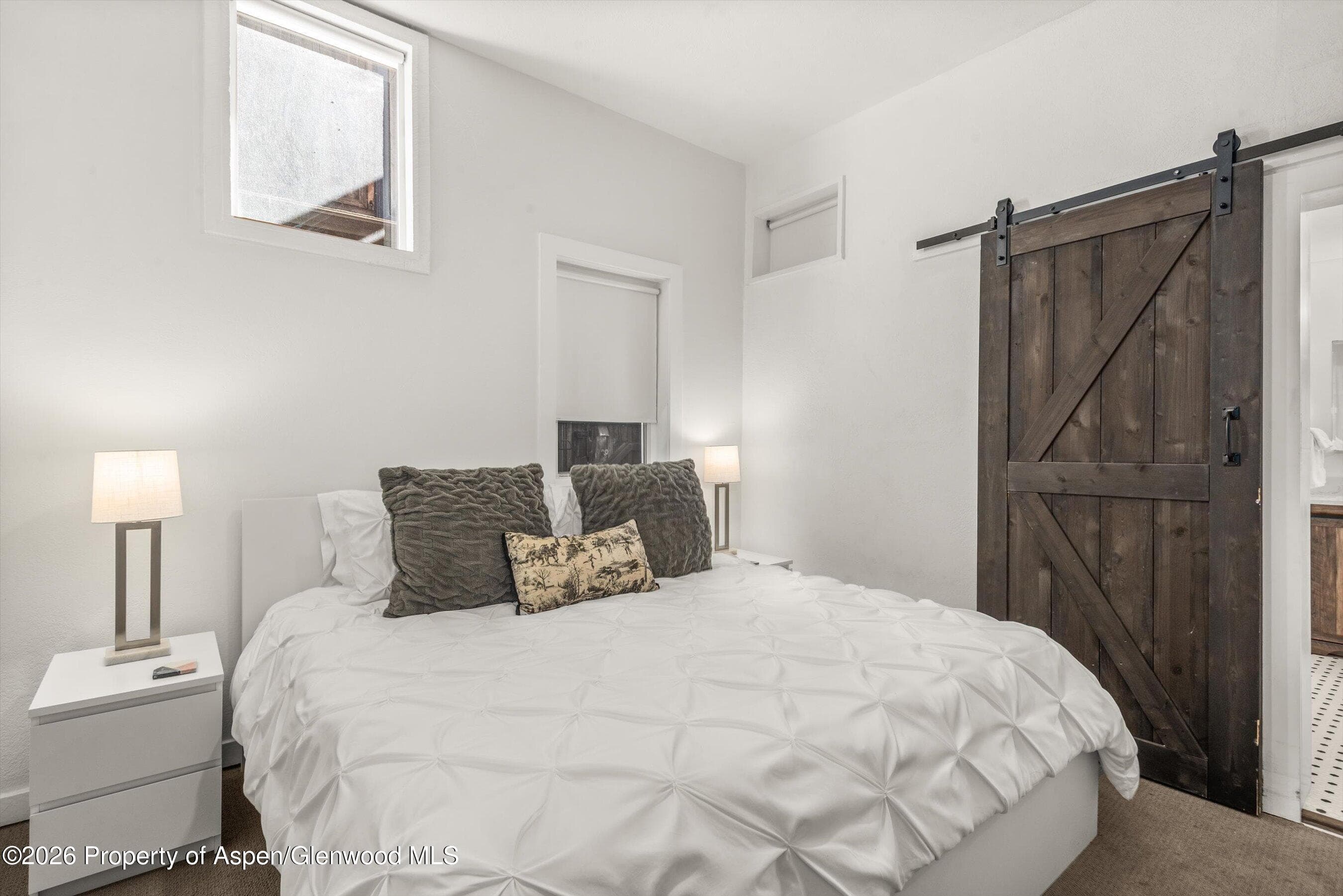 560 Spruce Street, Aspen, CO 81611 - Photo 10
