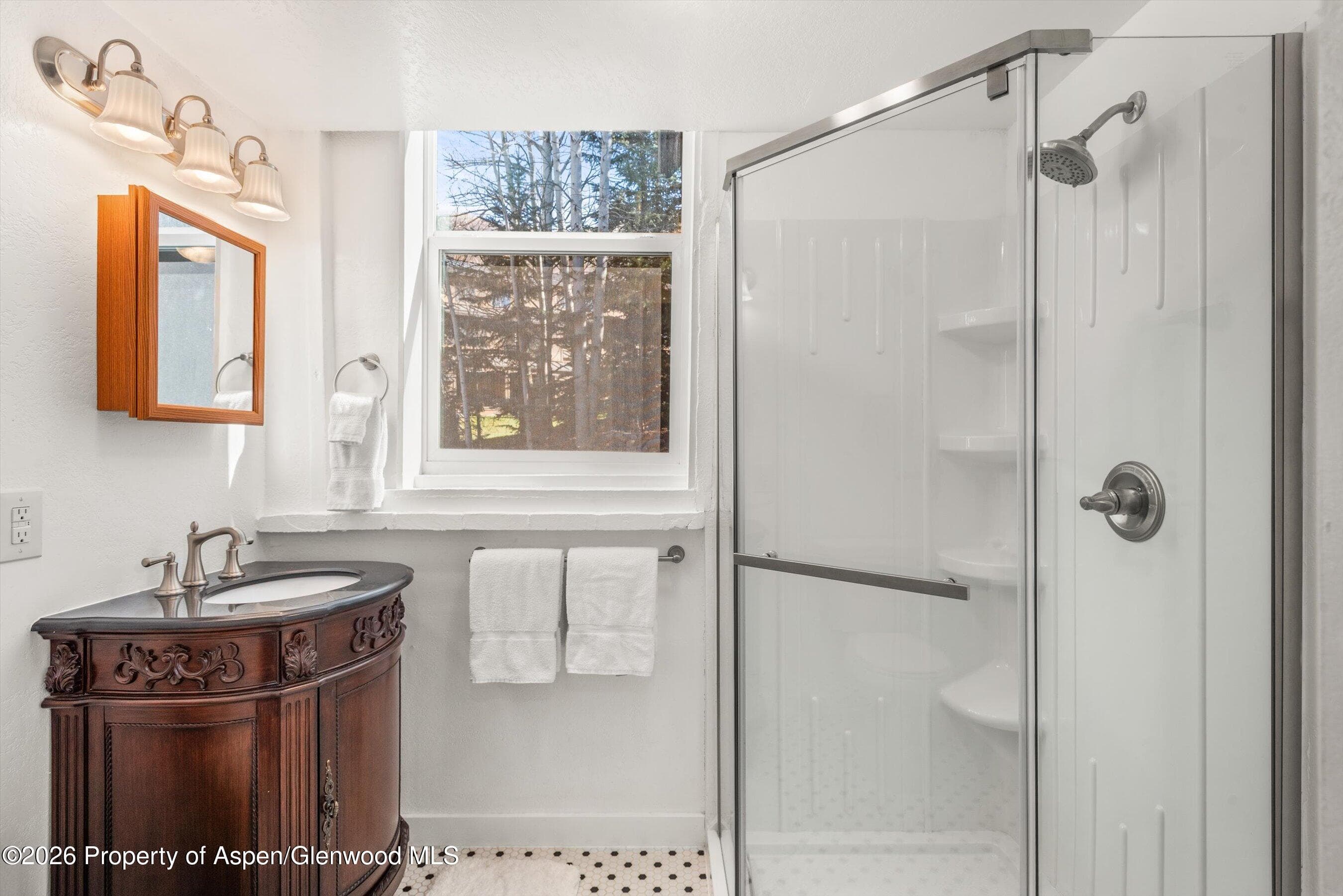 560 Spruce Street, Aspen, CO 81611 - Photo 14