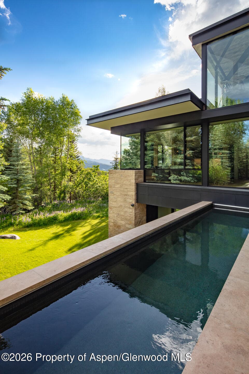979 Red Mountain Road, Aspen, CO 81611 - Photo 30