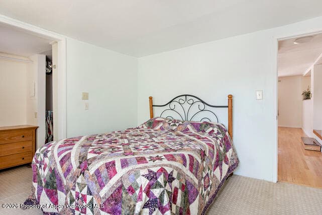 43 Bear Claw, Aspen, CO 81611 - Photo 21