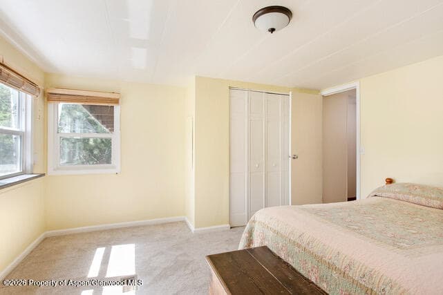 43 Bear Claw, Aspen, CO 81611 - Photo 23