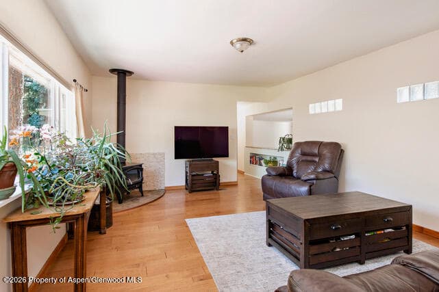 43 Bear Claw, Aspen, CO 81611 - Photo 12