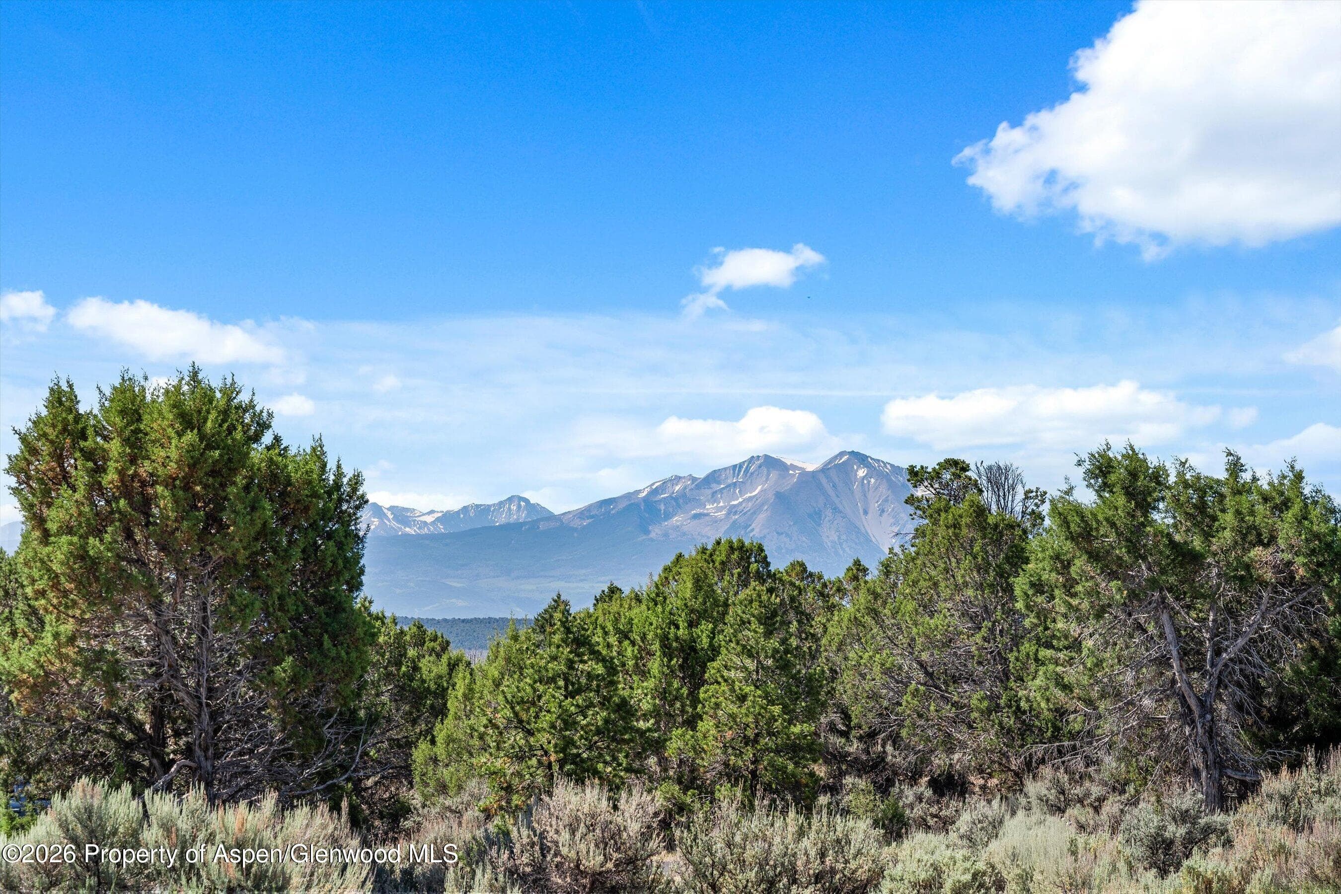 251 Crescent Lane, Glenwood Springs, CO 81601 - Photo 36