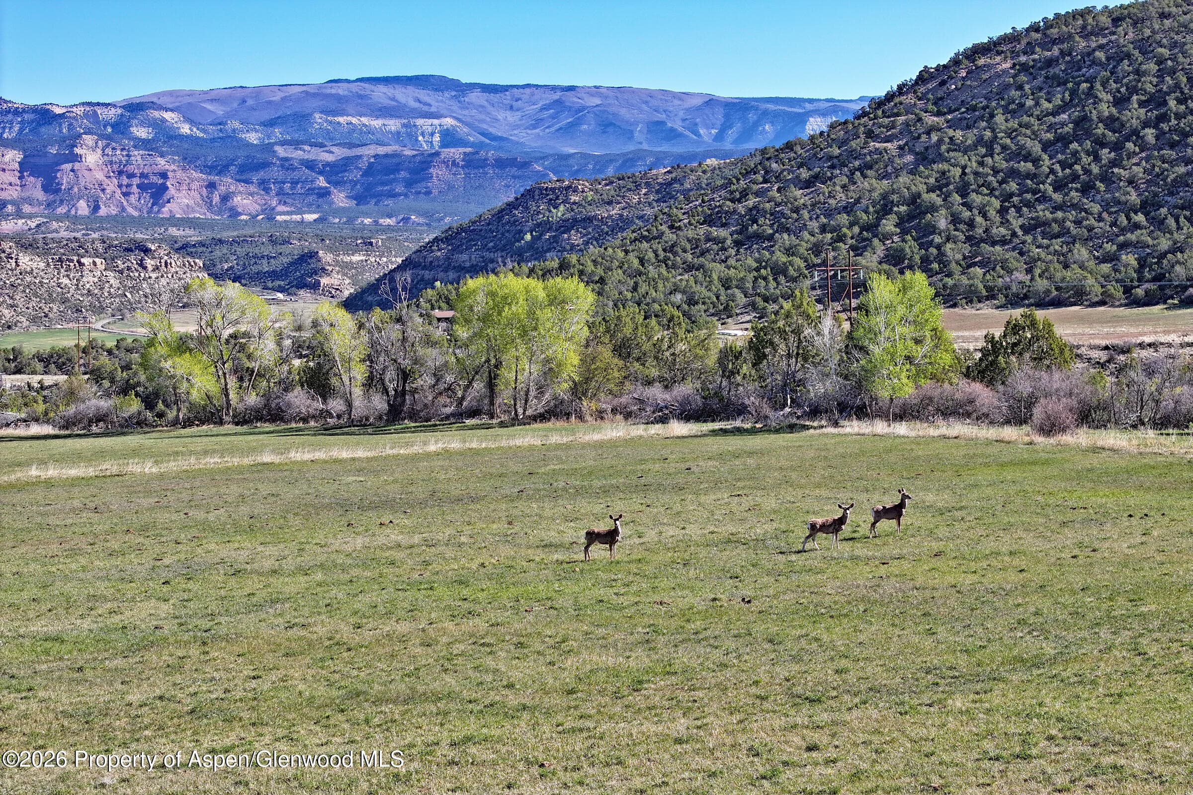 12482 54 7/10 Road 1 Parcel Only, Molina, CO 81646 - Photo 7