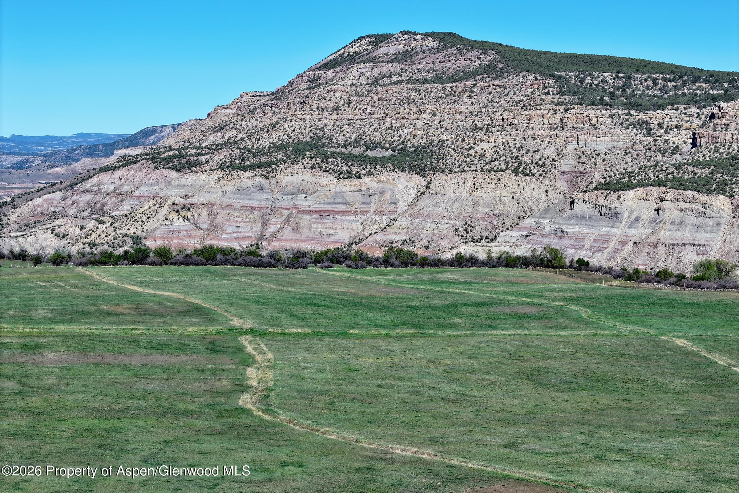 12482 54 7/10 Road 1 Parcel Only, Molina, CO 81646 - Photo 9
