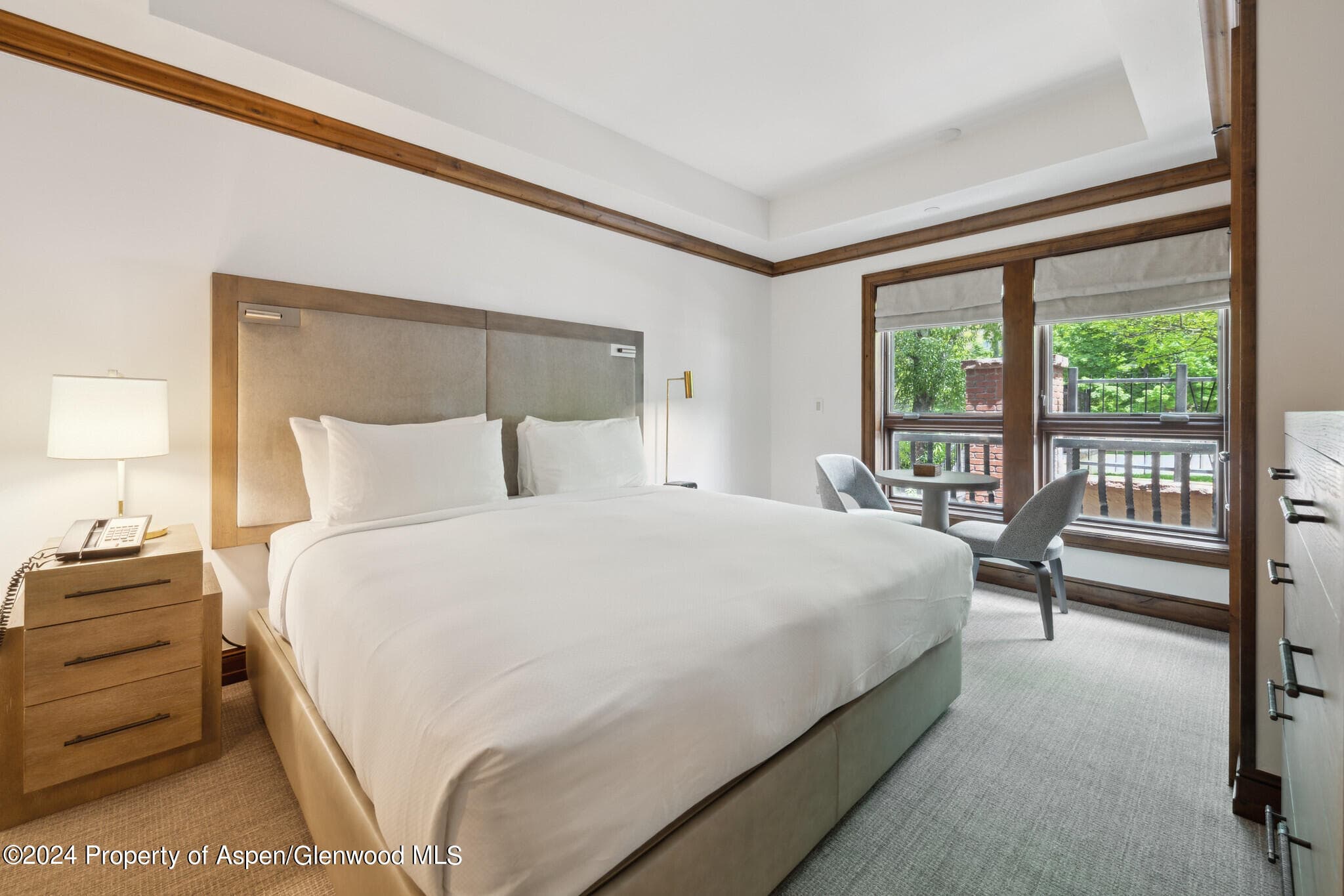 415 E Dean St, Unit 23b, Week 5, Aspen, CO 81611 - Photo 8