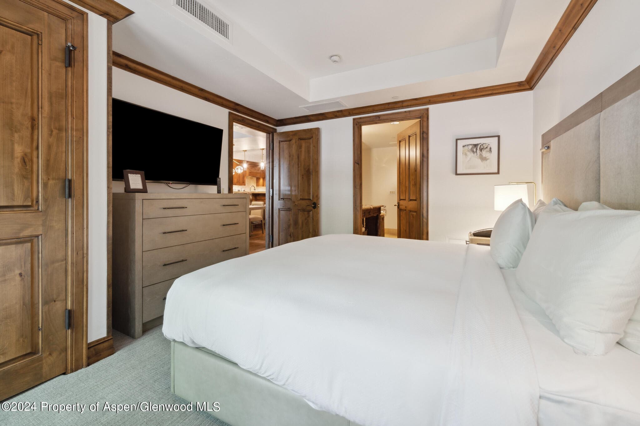 415 E Dean St, Unit 23b, Week 5, Aspen, CO 81611 - Photo 9