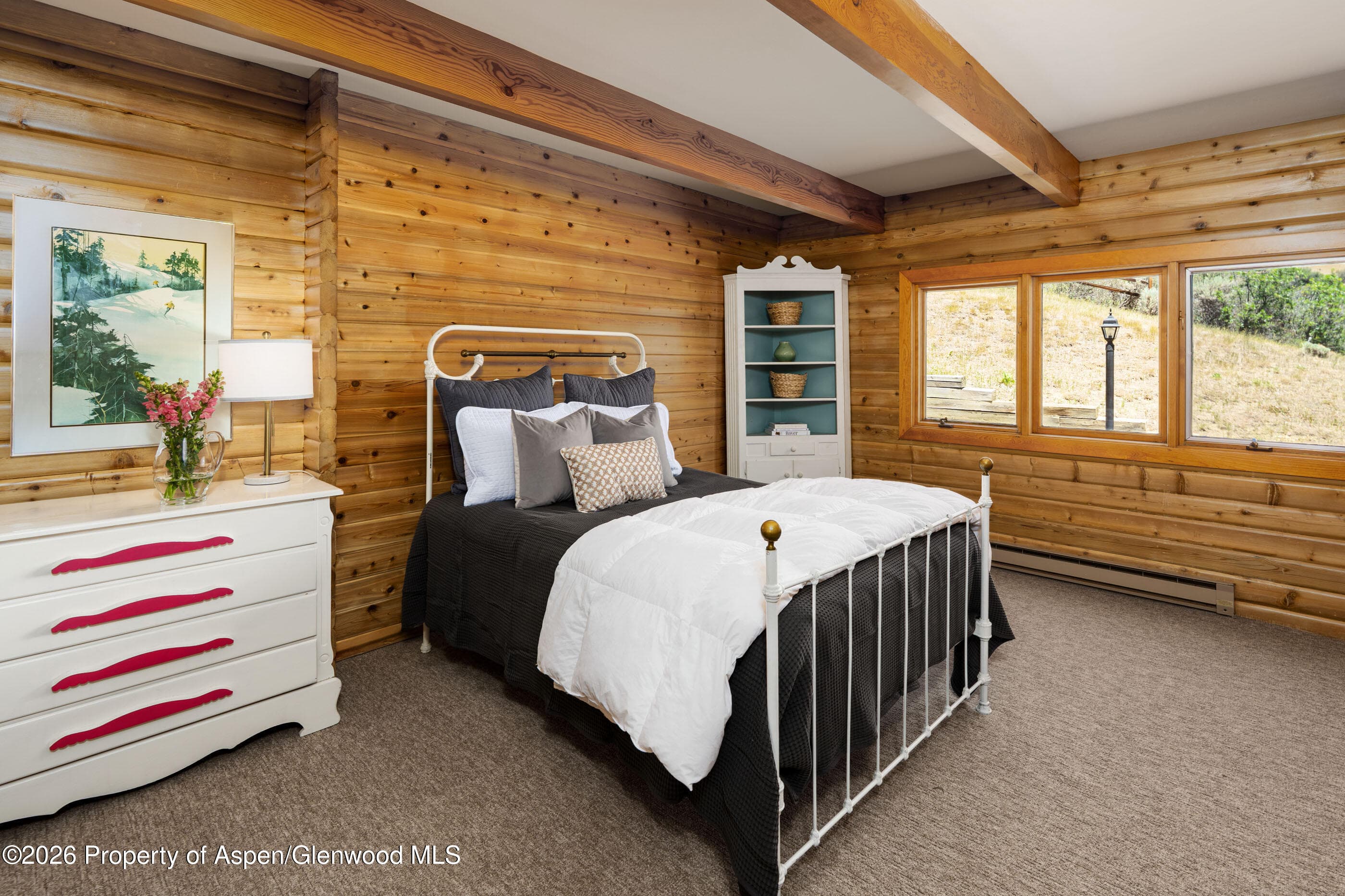 679 Brush Creek Road, Aspen, CO 81611 - Photo 29