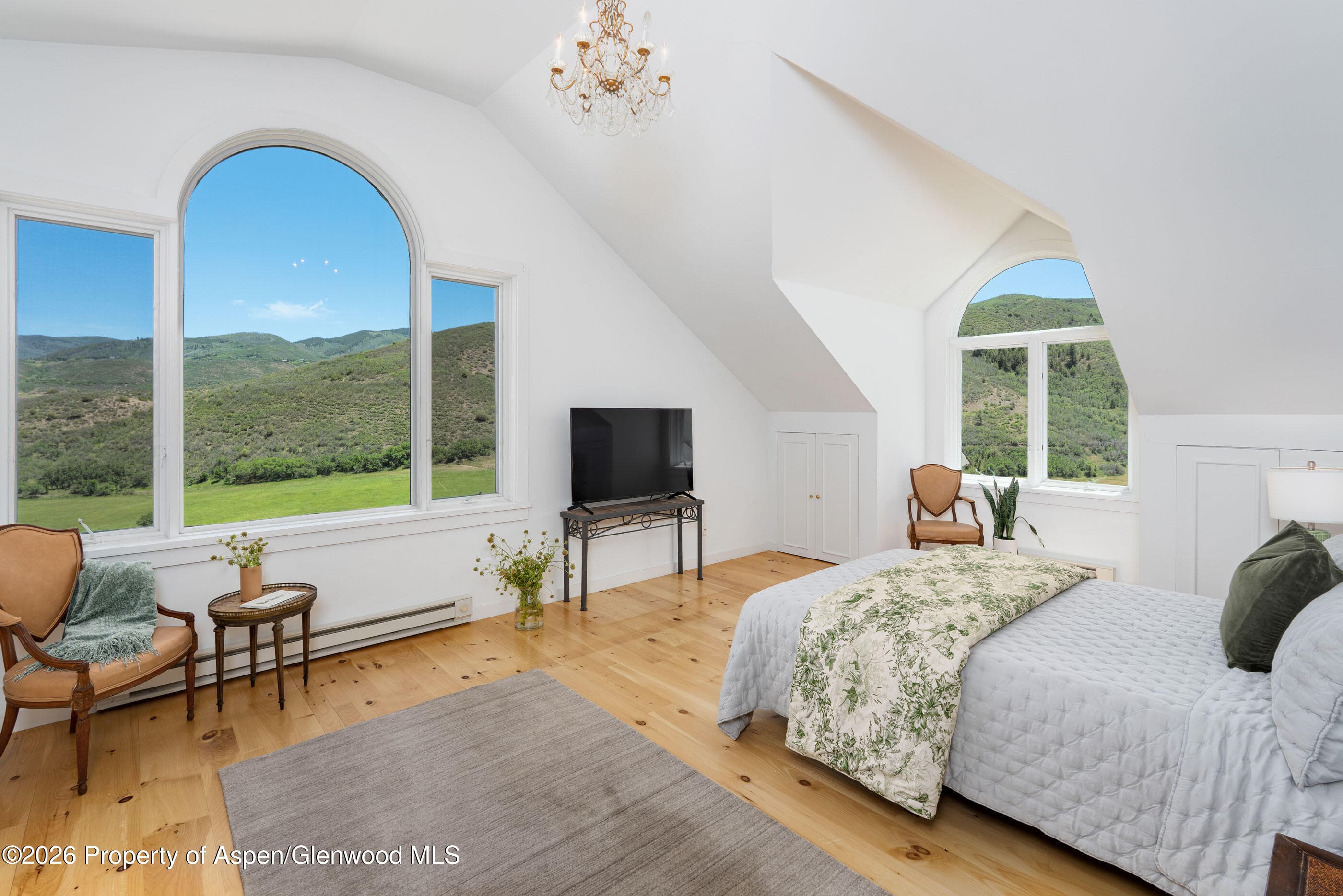 679 Brush Creek Road, Aspen, CO 81611 - Photo 18