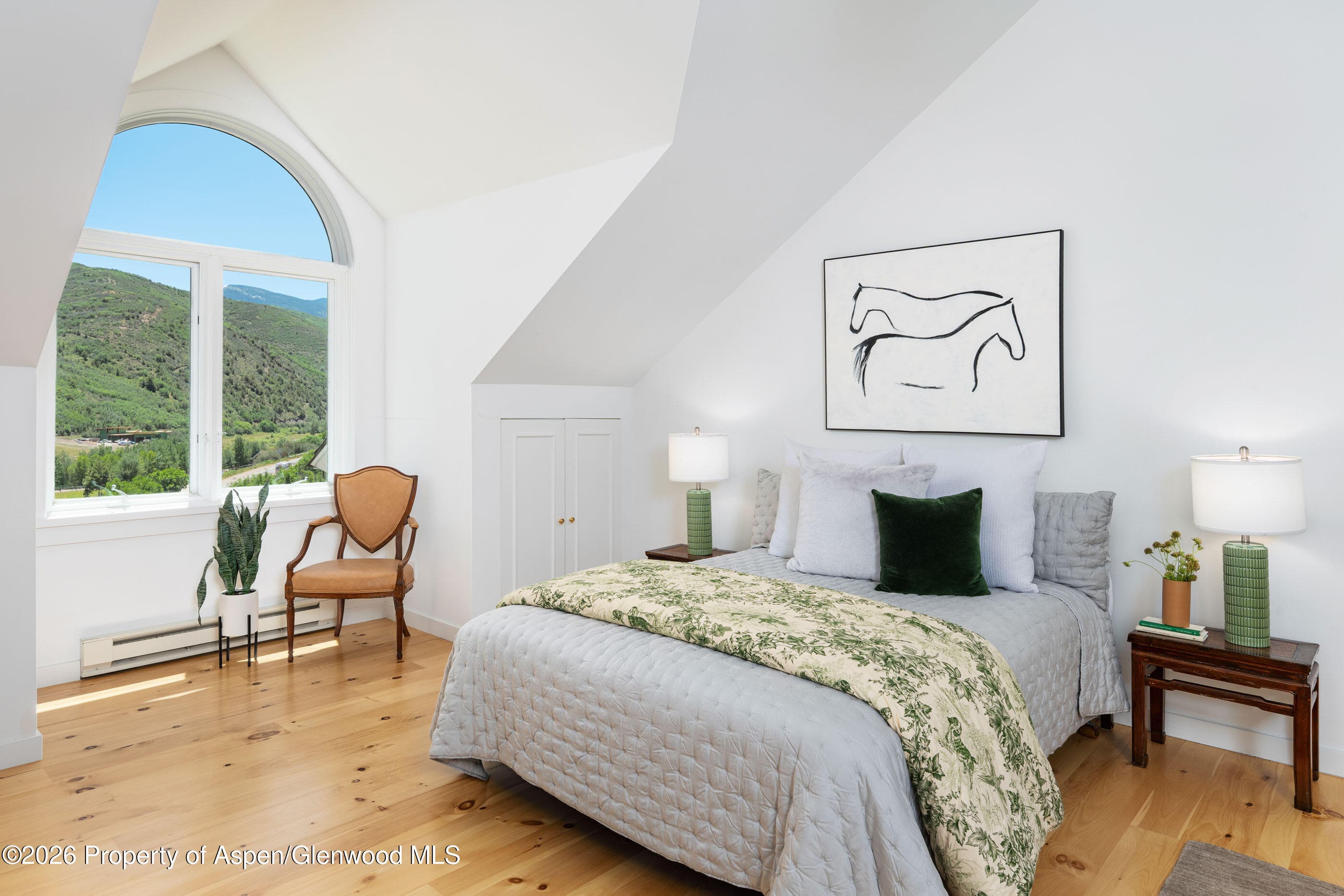 679 Brush Creek Road, Aspen, CO 81611 - Photo 19
