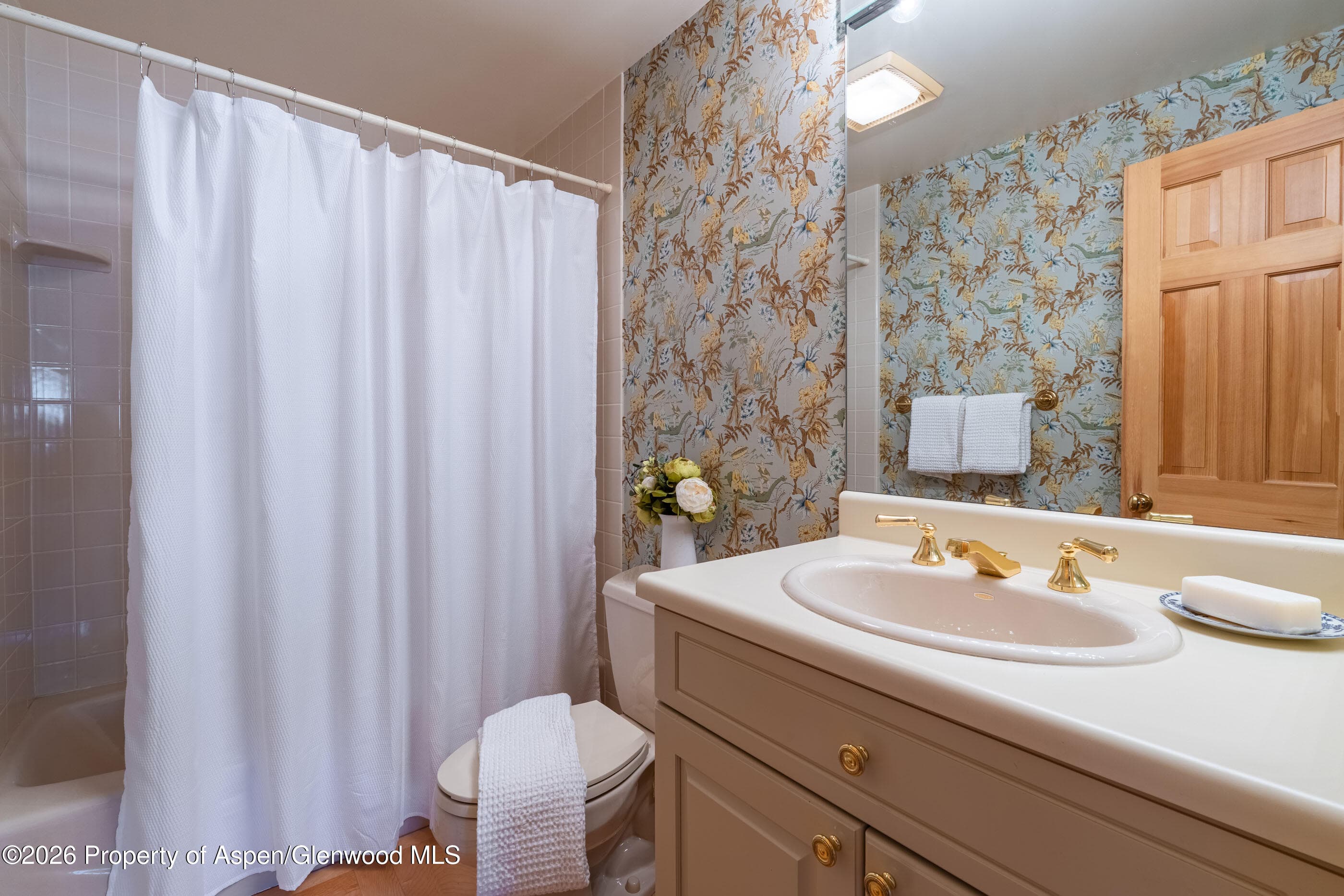 679 Brush Creek Road, Aspen, CO 81611 - Photo 30