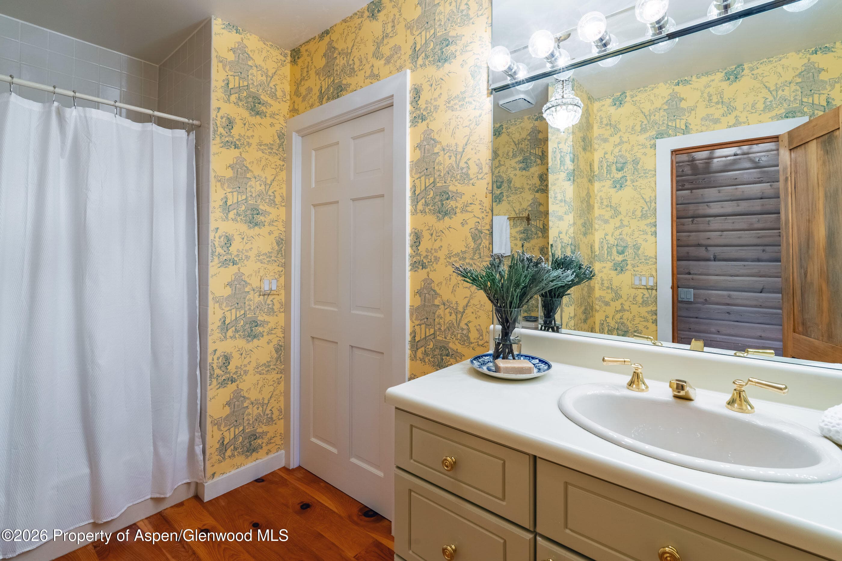 679 Brush Creek Road, Aspen, CO 81611 - Photo 28