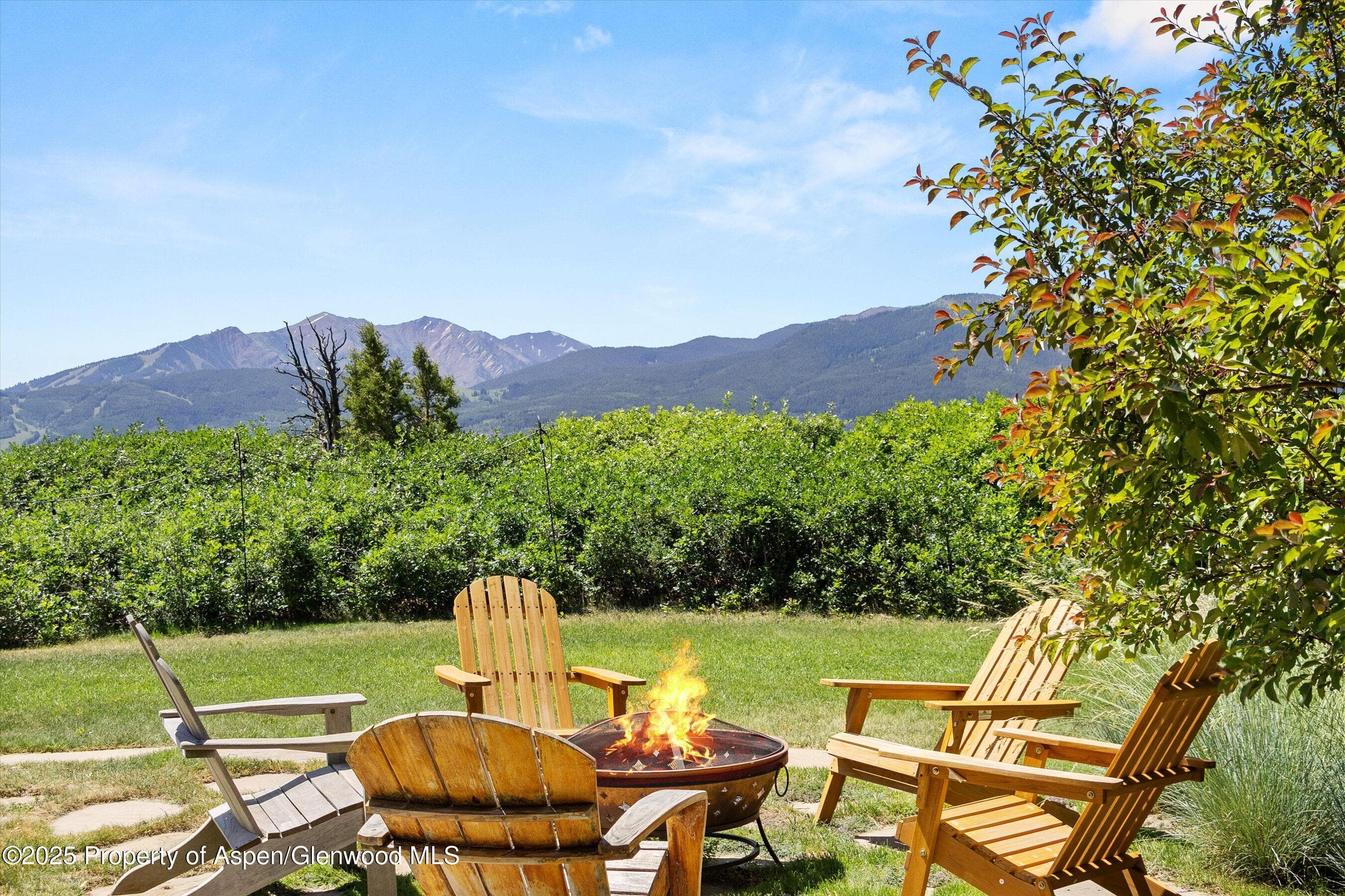 2908 Juniper Hill Drive, Aspen, CO 81611 - Photo 4