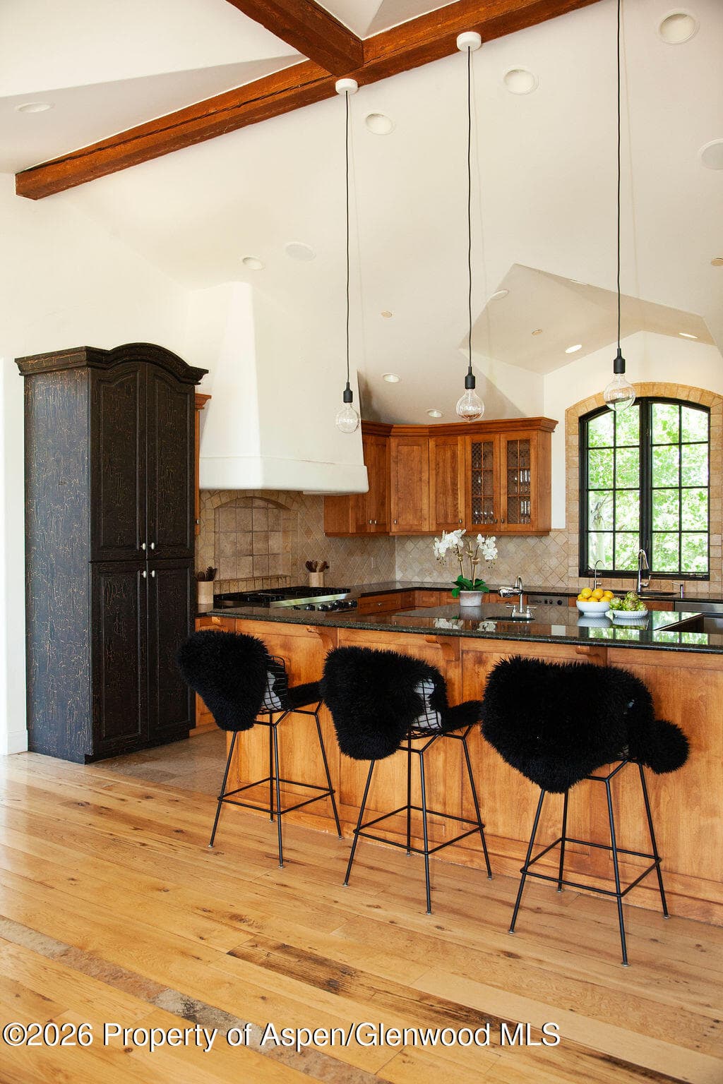 2908 Juniper Hill Drive, Aspen, CO 81611 - Photo 12