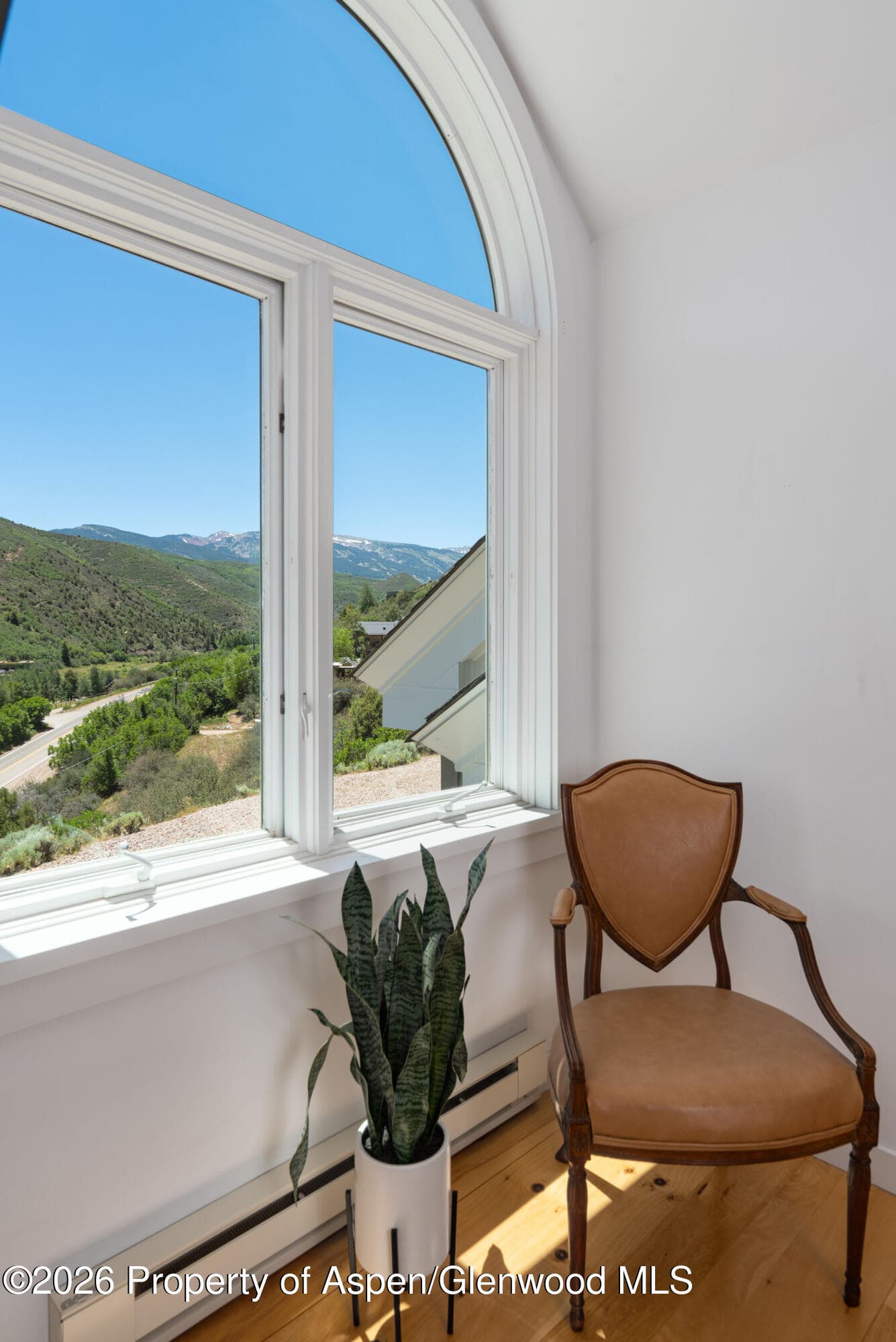 679 Brush Creek & Tbd Medicine Bow Road, Aspen, CO 81611 - Photo 34