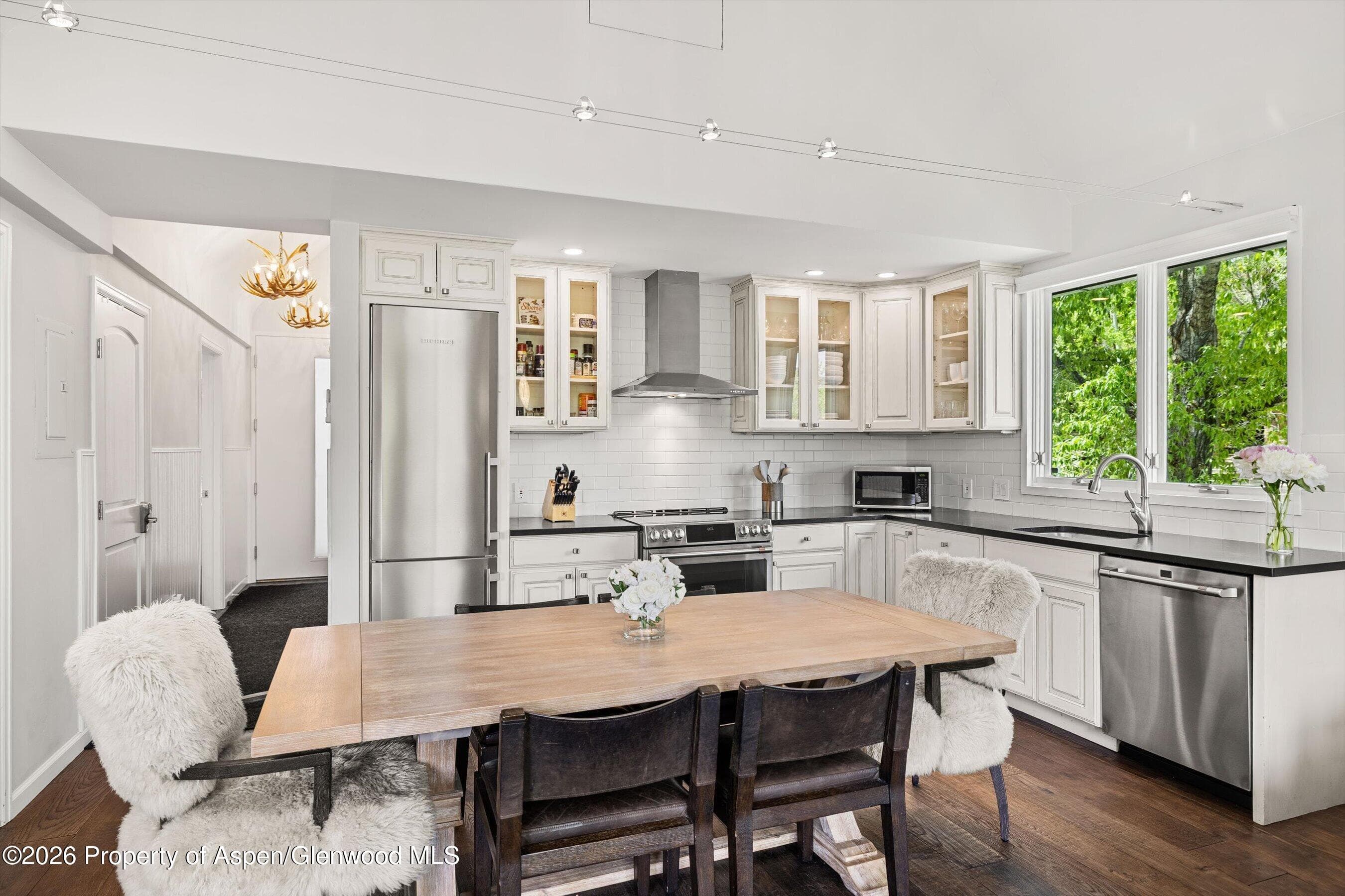 800 S Mill Street 6a, Aspen, CO 81611 - Photo 4