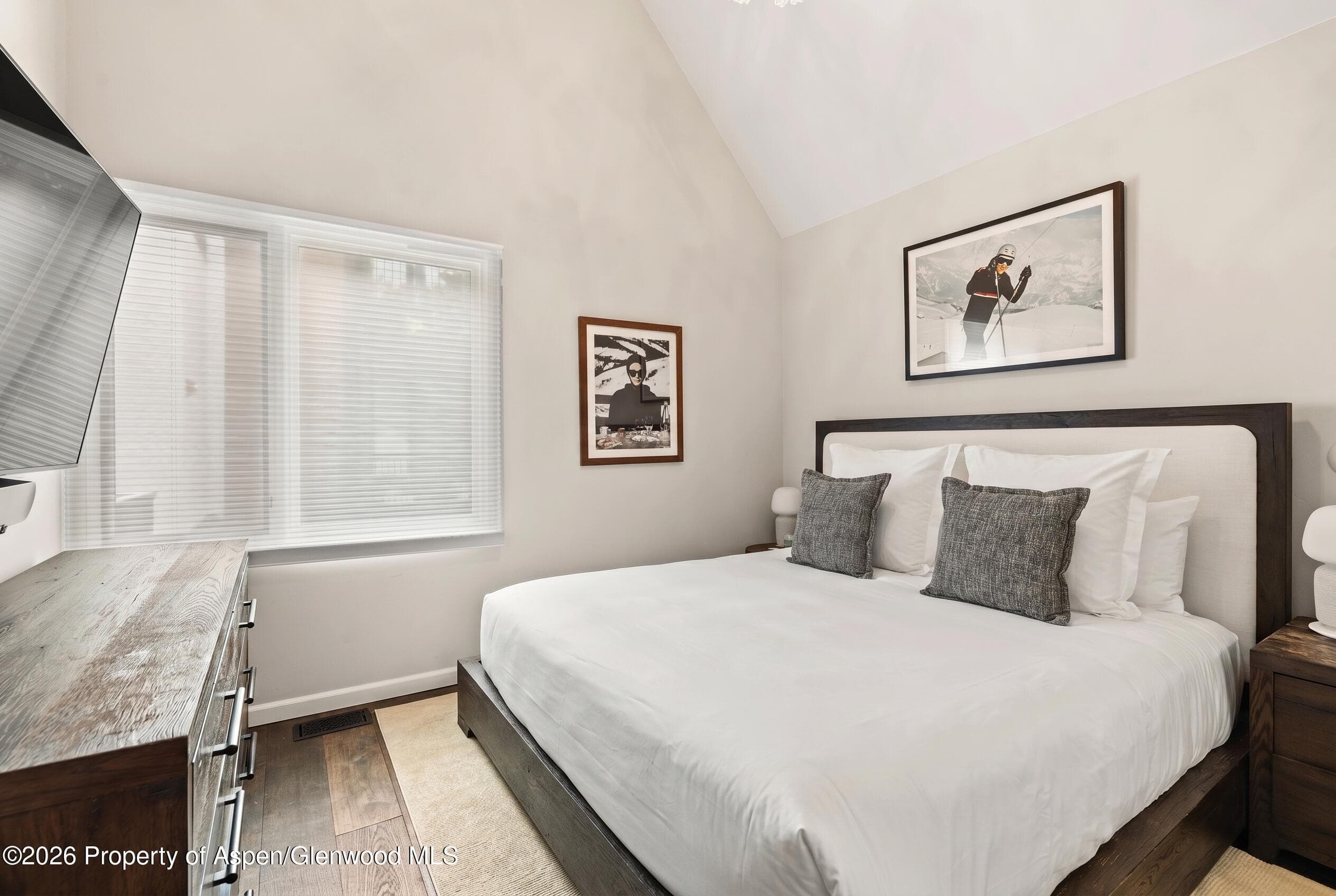 800 S Mill Street 6a, Aspen, CO 81611 - Photo 8