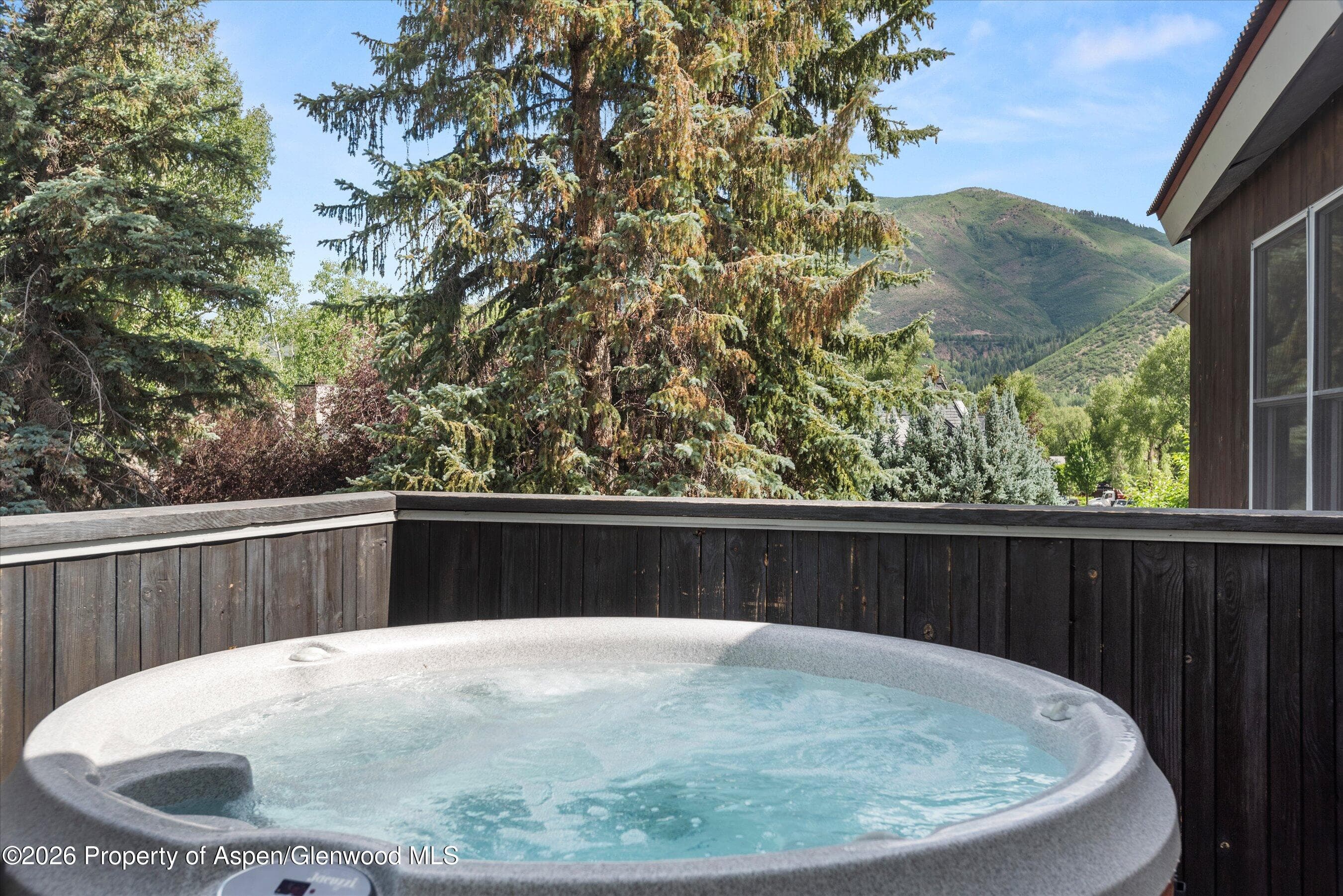939 E Cooper Avenue B, Aspen, CO 81611 - Photo 24