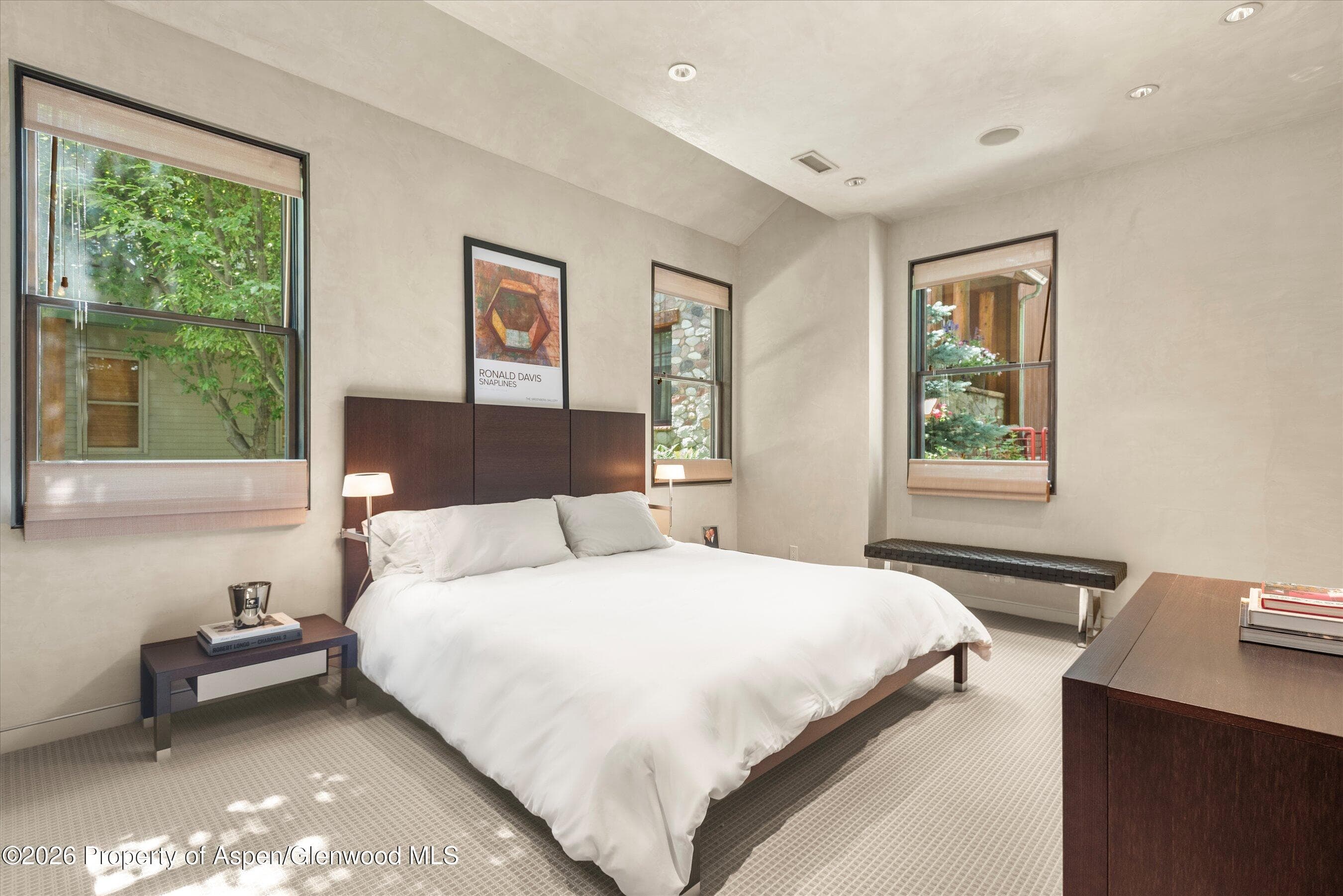 939 E Cooper Avenue B, Aspen, CO 81611 - Photo 11