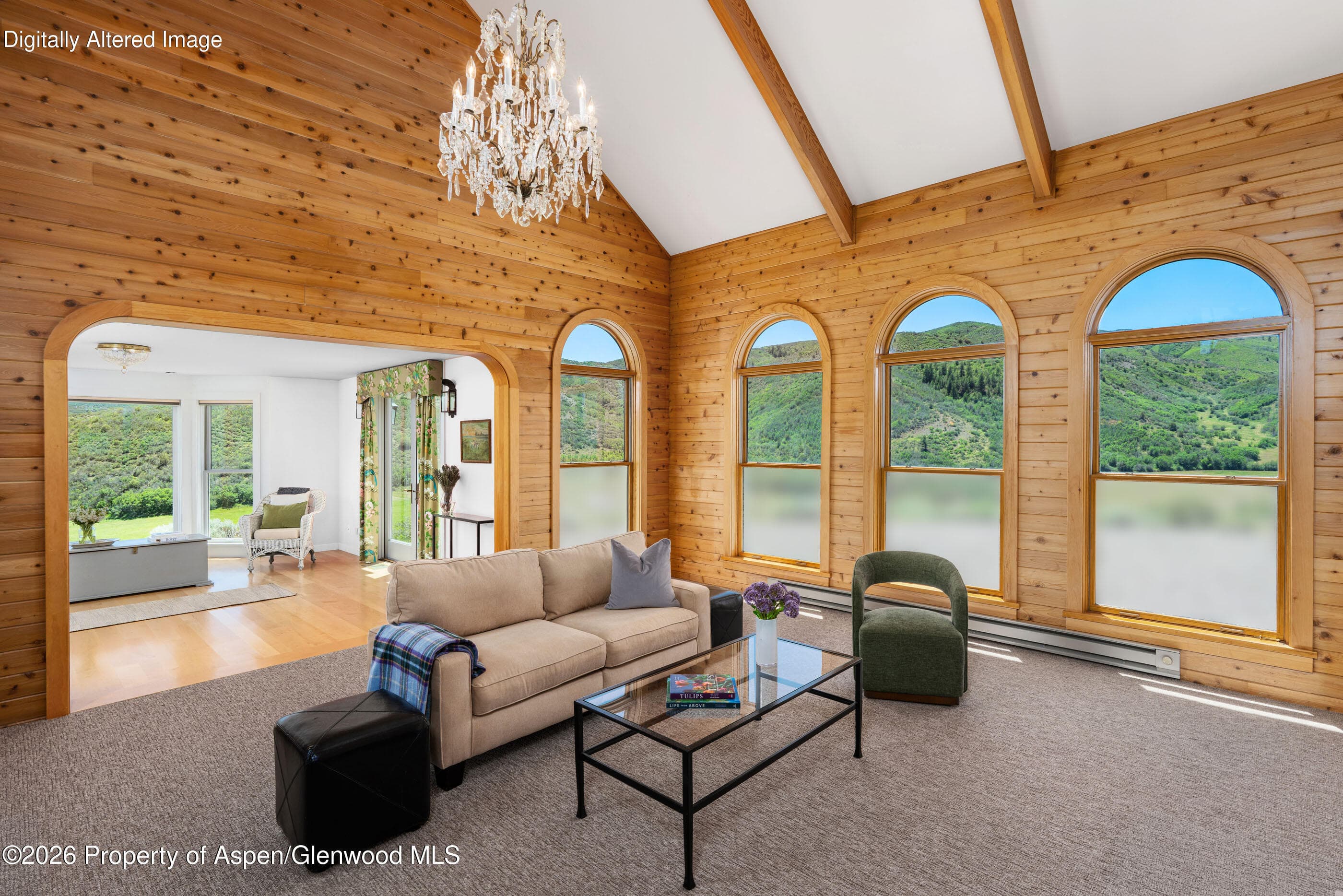 679 Brush Creek Road, Aspen, CO 81611 - Photo 9